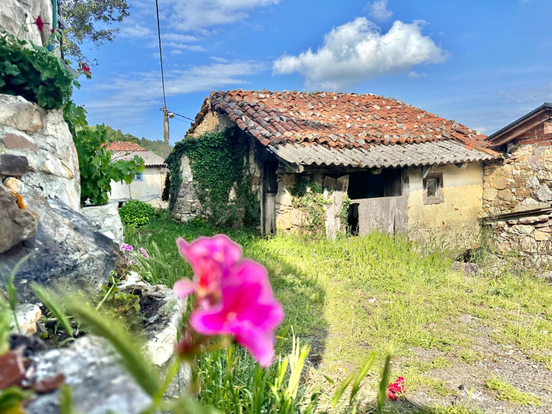 CONSTRUCCIÓN EN PIEDRA CON ENCANTO EN ALDEA EL PEVIDAL, SALAS