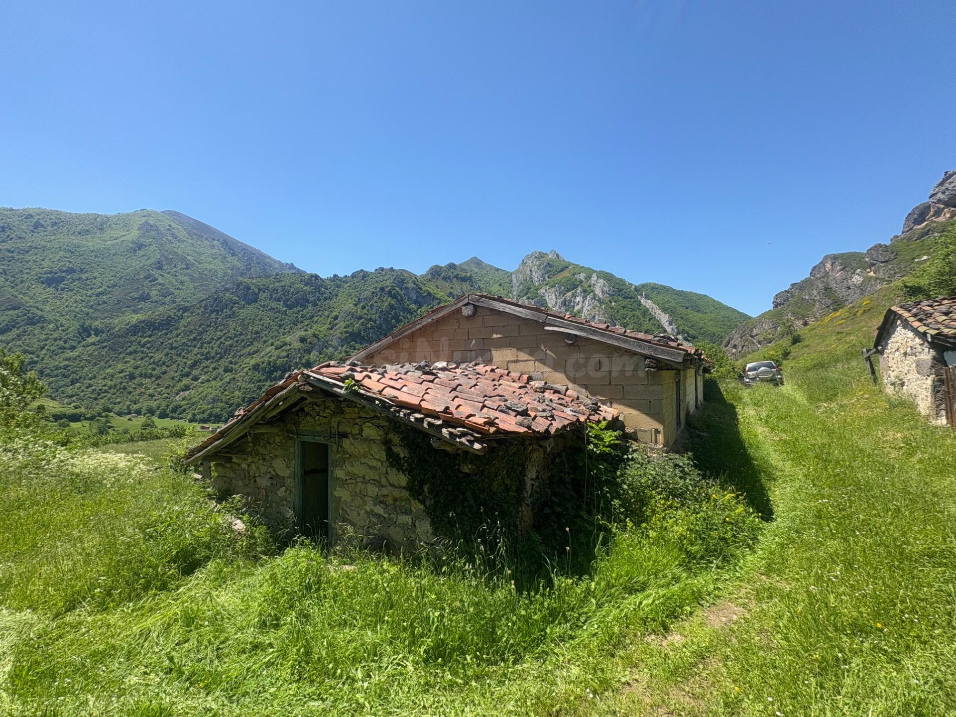DOS CUADRAS, UNA CABAÑA Y FINCA EN CUEVAS, CON AGUA DE MANANTIAL, PARA REFORMA – FELECHOSA (ALLER)