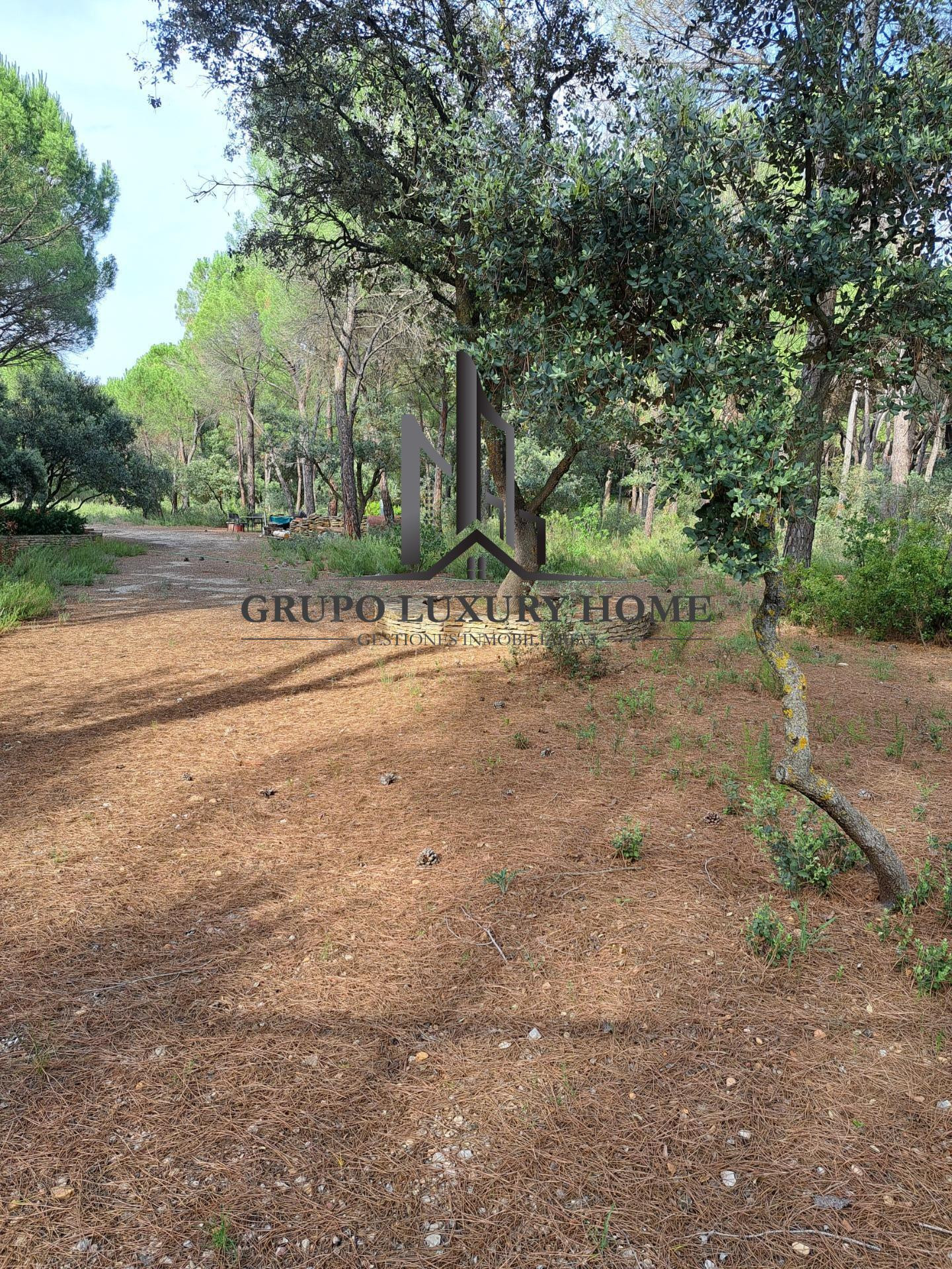 PARCELA EN PINARES DEL JUCAR