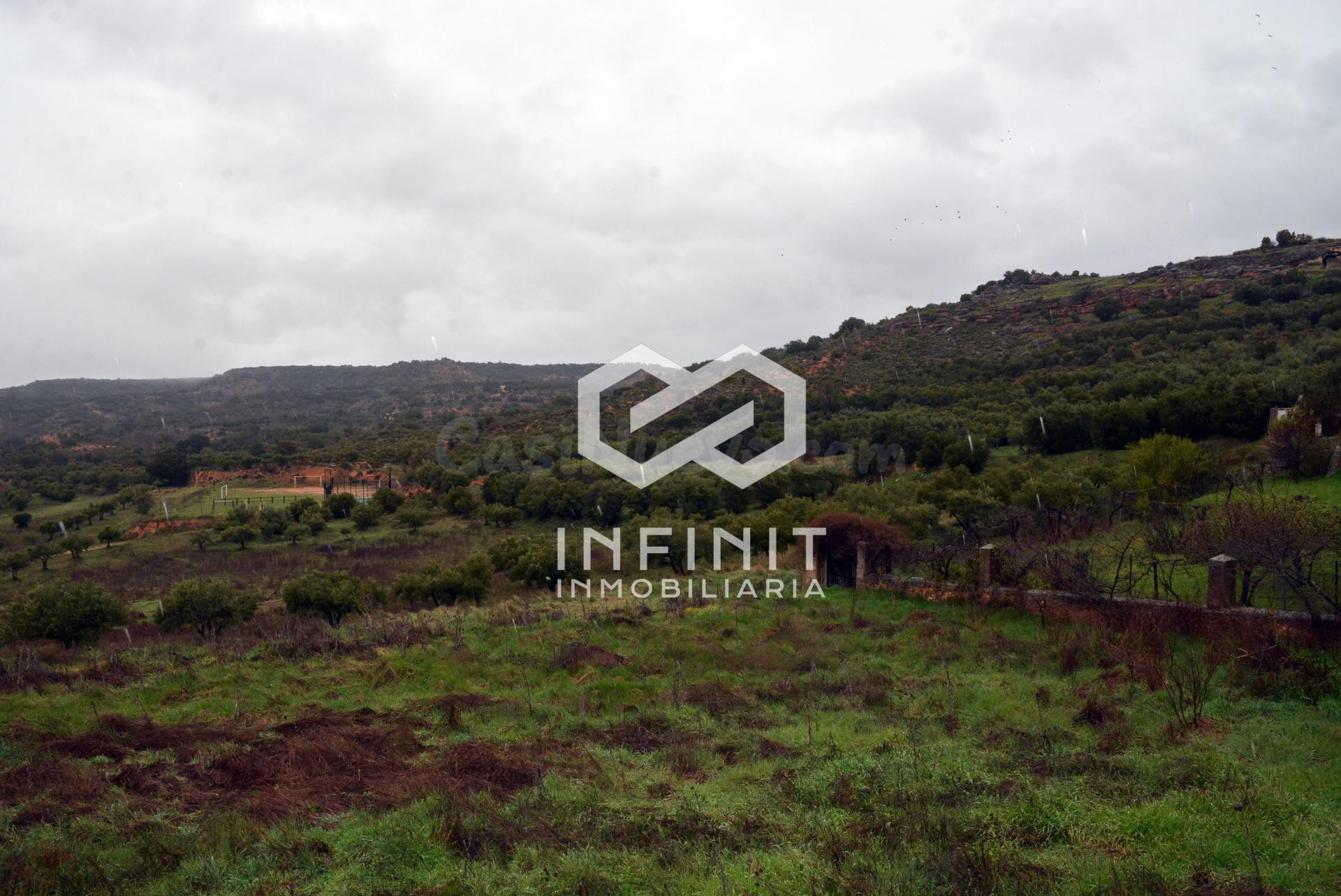 ¿Quieres vivir en el alto Tajo?... Aquí tienes un lienzo en blanco