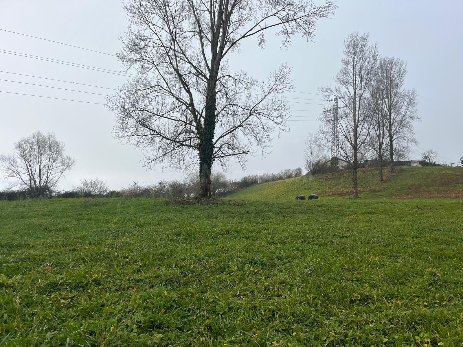 TERRENO EN LANGREO. - foto 2
