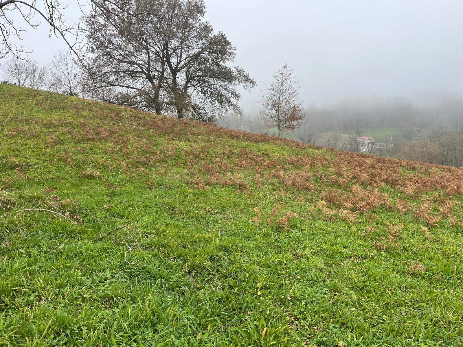 TERRENO EN LANGREO. - foto 3