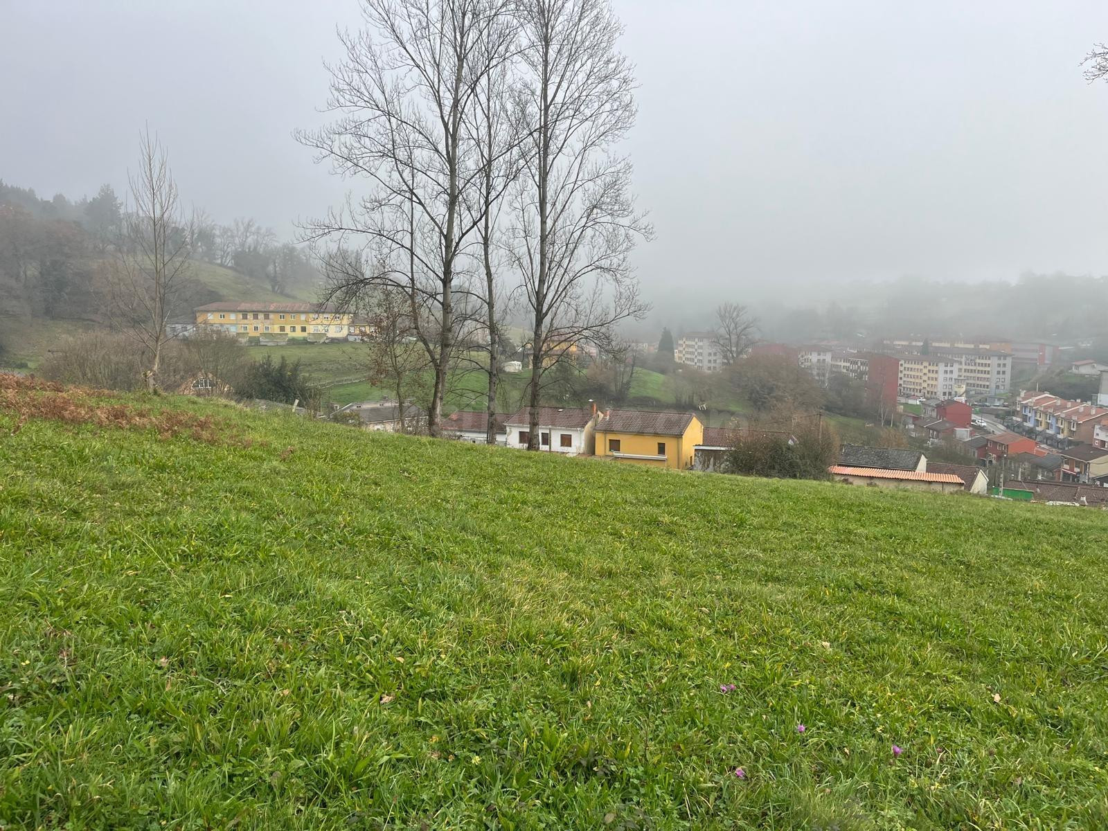 TERRENO EN LANGREO. - foto 4