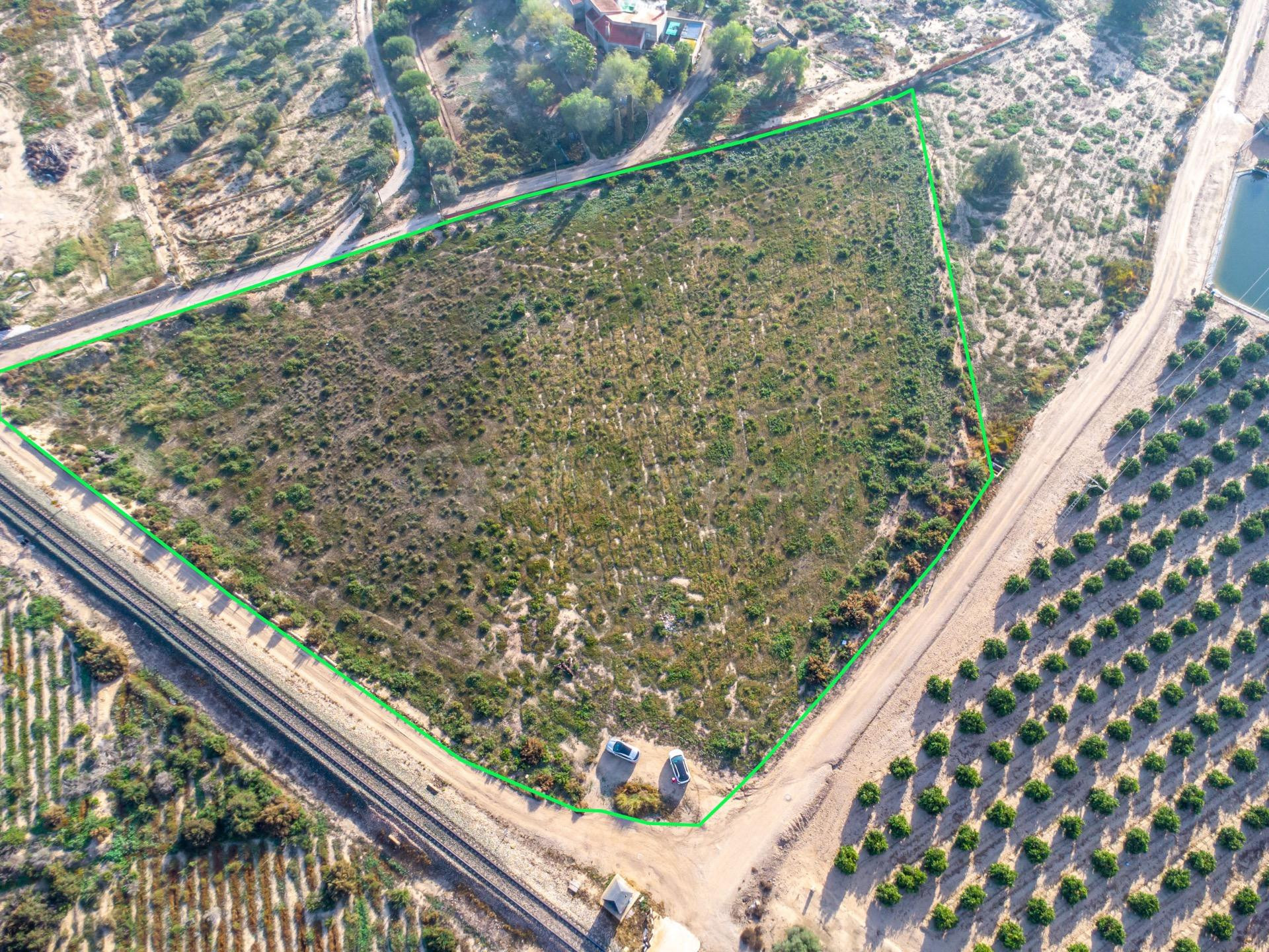 Terreno rústico en venta en Crevillente – Más de 12.000 m2 con múltiples posibilidades agrícolas