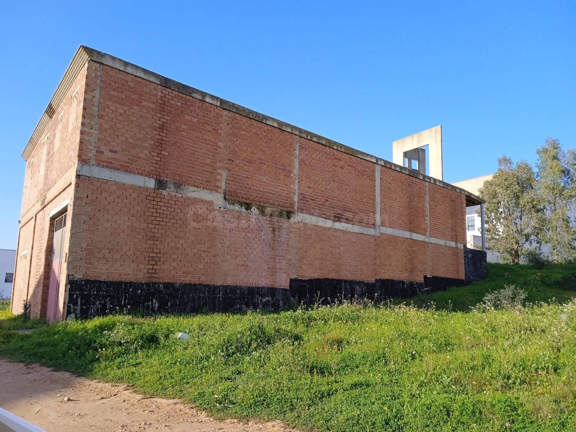 Finca rústica en venta en DISEMINADO SAN ISIDRO ,38  Gibrale - foto 4