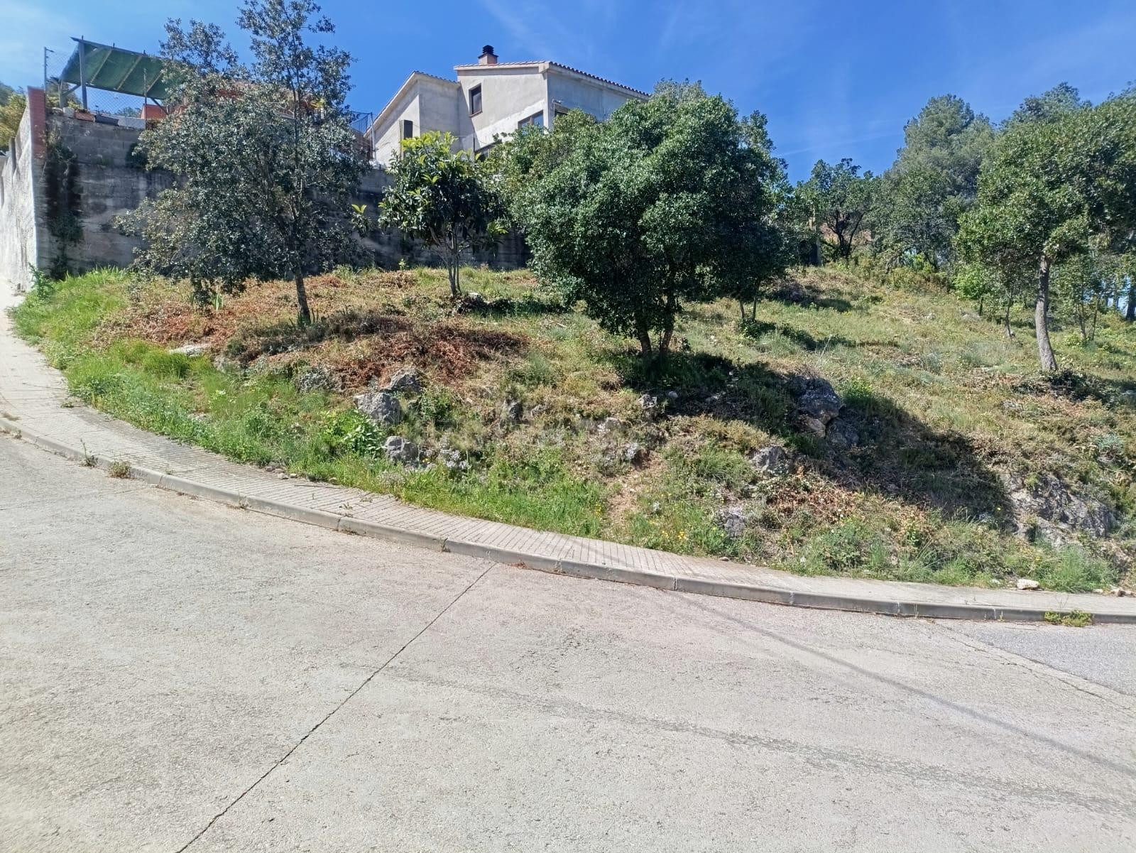 VENTA DE SOLAR EN MARTIVELL