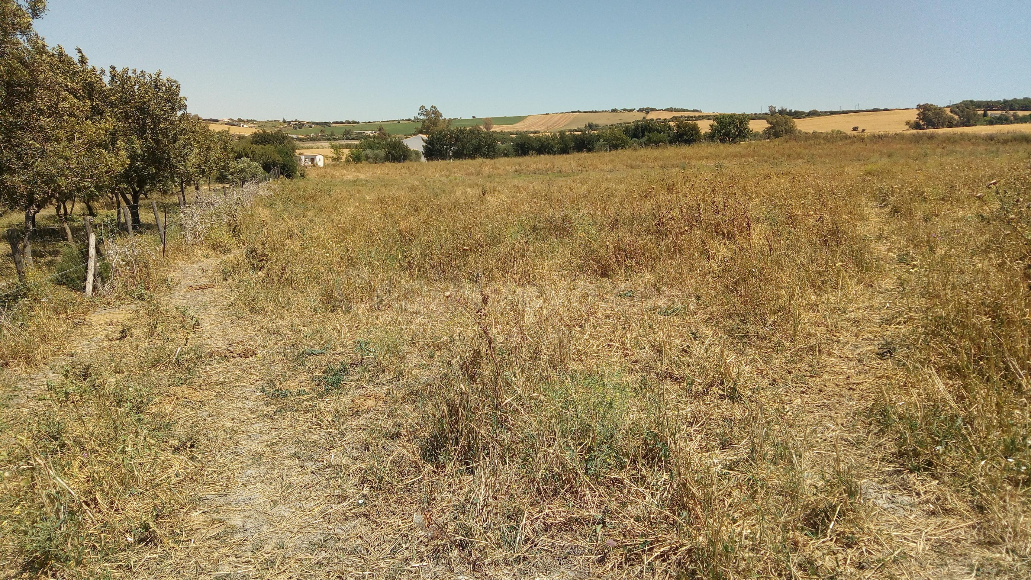 El Fain, Monarda y Hoyos del Boyero