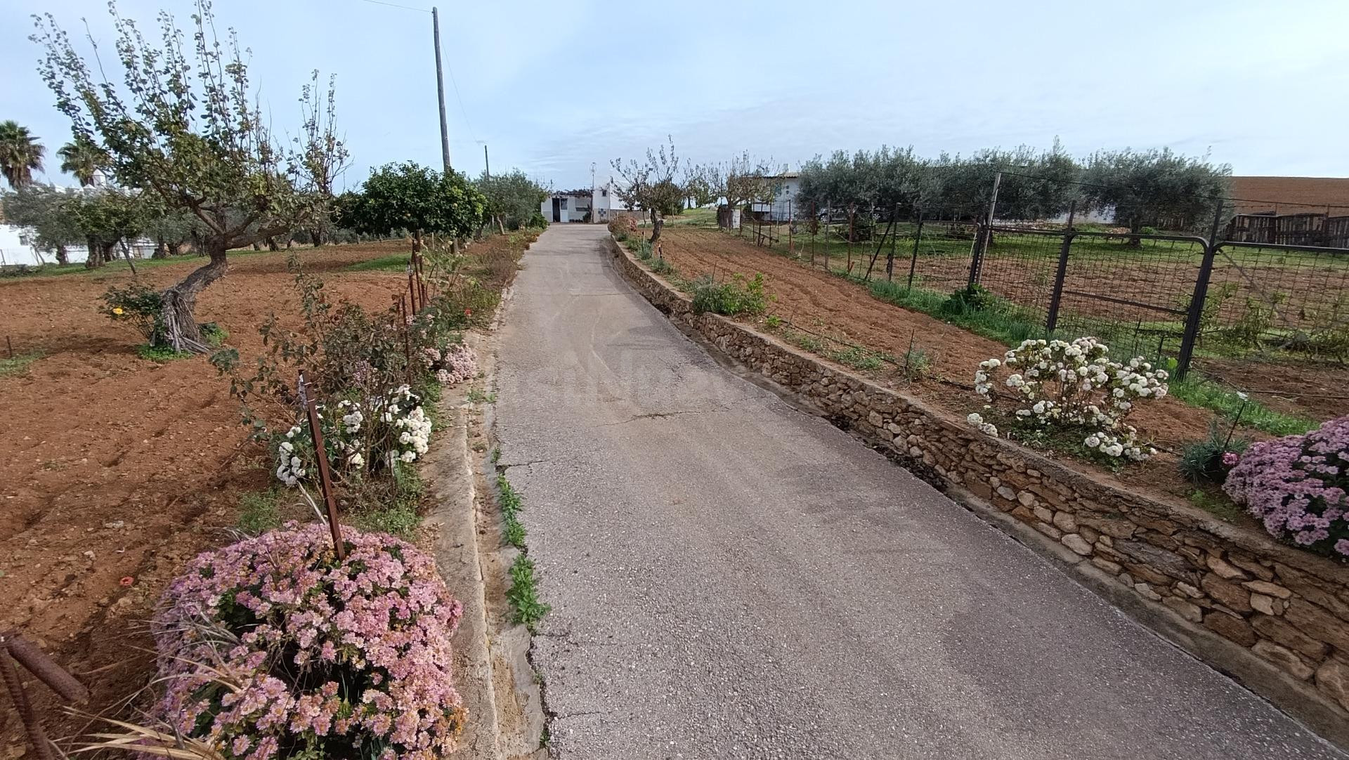 PRECIOSA FINCA MUY PRÓXIMA A ARCOS