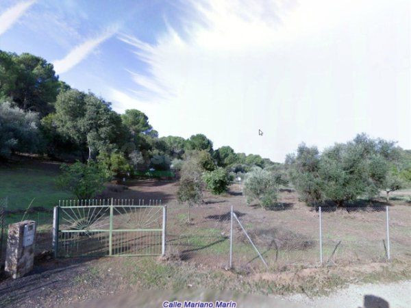 🌿 Terreno Rústico en venta en El Jardinito de Trassierra | 3.000 m2 vallados con luz