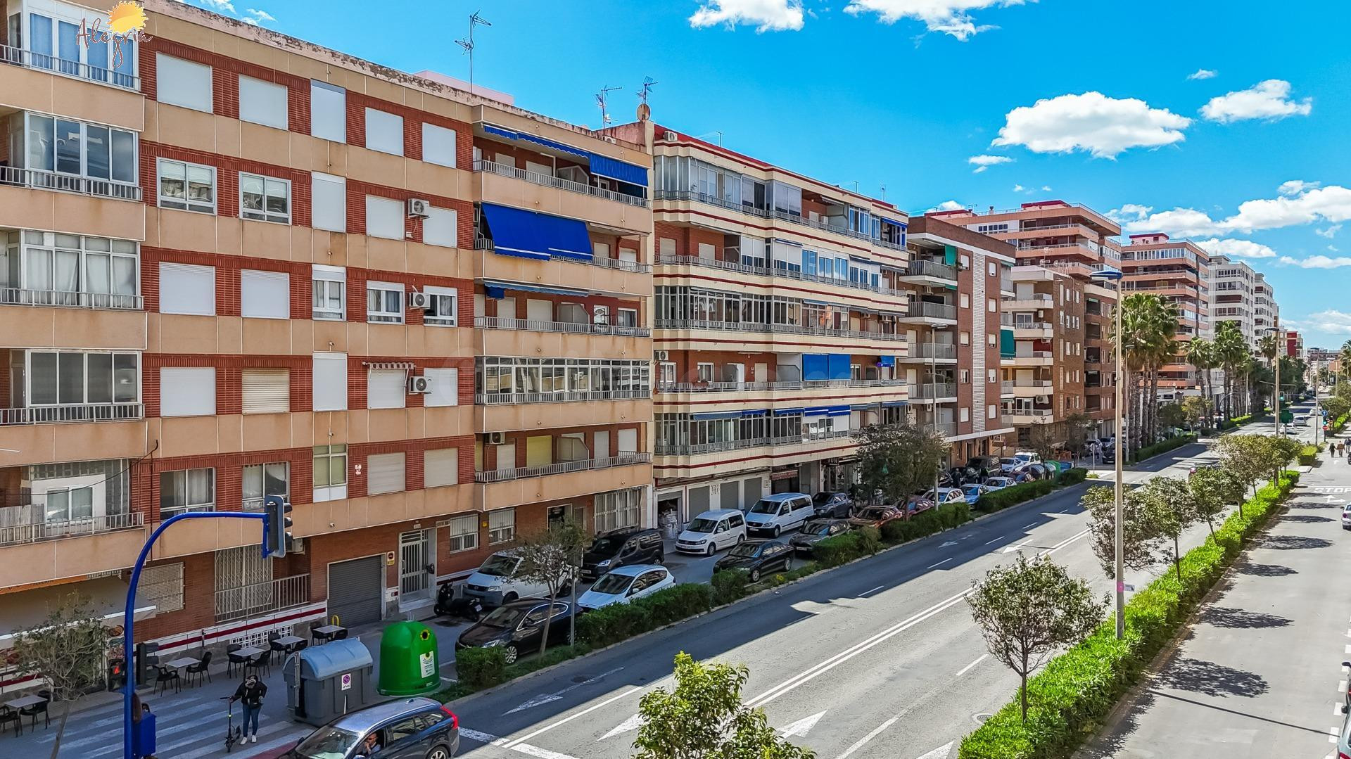APARTAMENTO DE  3 DORMITORIOS 2 BAÑOS EN TORREVIEJA ( ALICANTE )