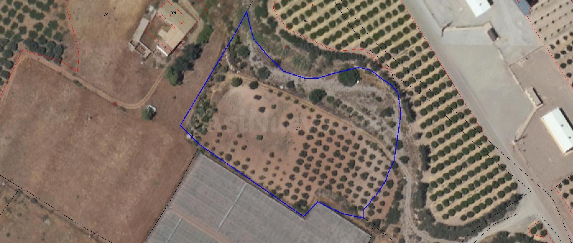 Terreno Rústico en Almendricos, Lorca con 10.000 m2 de parcela, una acción de agua de riego y posible enganche de luz