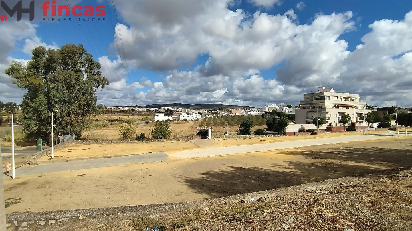 SUELO PARA DESARROLLAR PP DEFINITIVAMENTE APROBADO EN BURGUI - foto 3