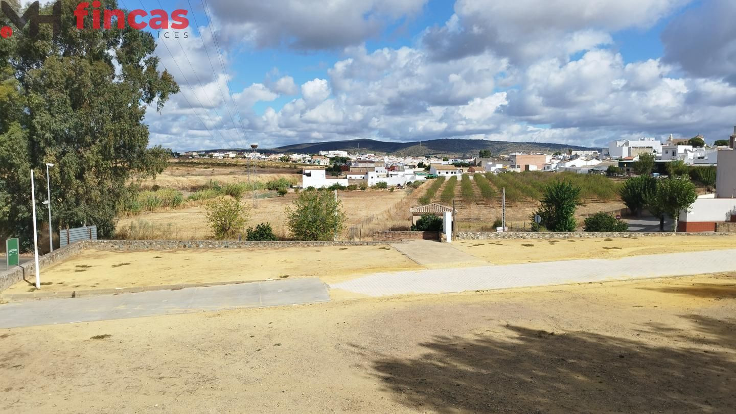 SUELO PARA DESARROLLAR PP DEFINITIVAMENTE APROBADO EN BURGUI - foto 4