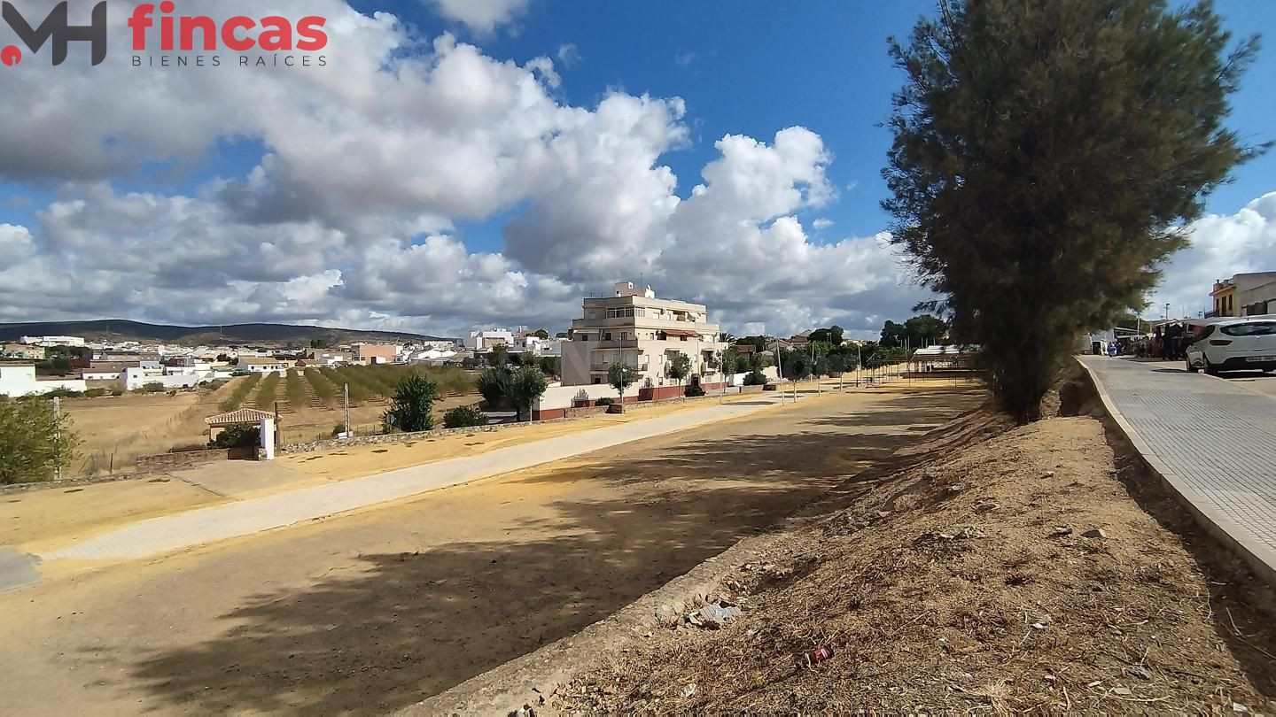 SUELO PARA DESARROLLAR PP DEFINITIVAMENTE APROBADO EN BURGUI - foto 5
