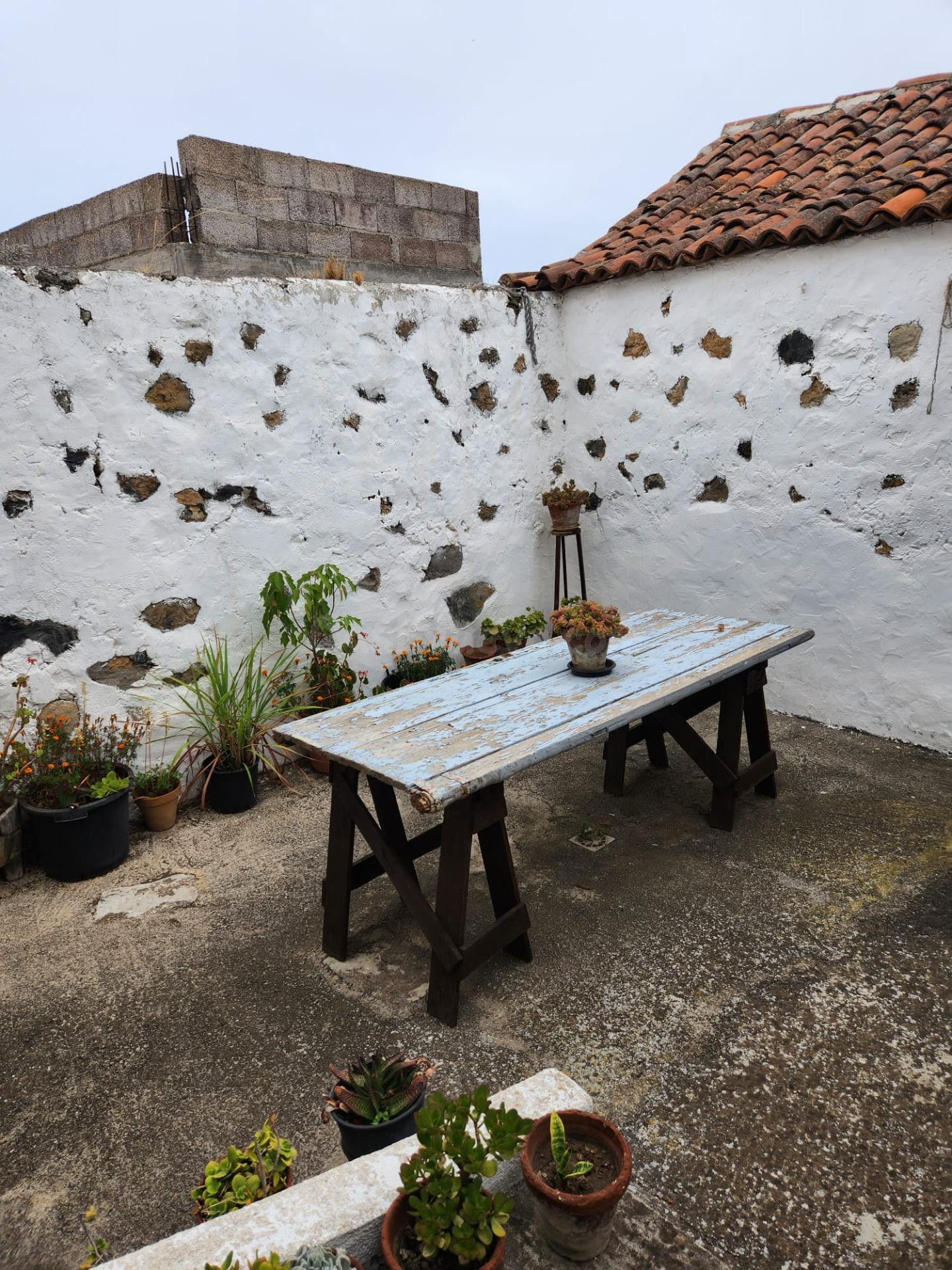 Encanto Rural en La Guancha: Casa Rústica con Amplia Huerta  - foto 3