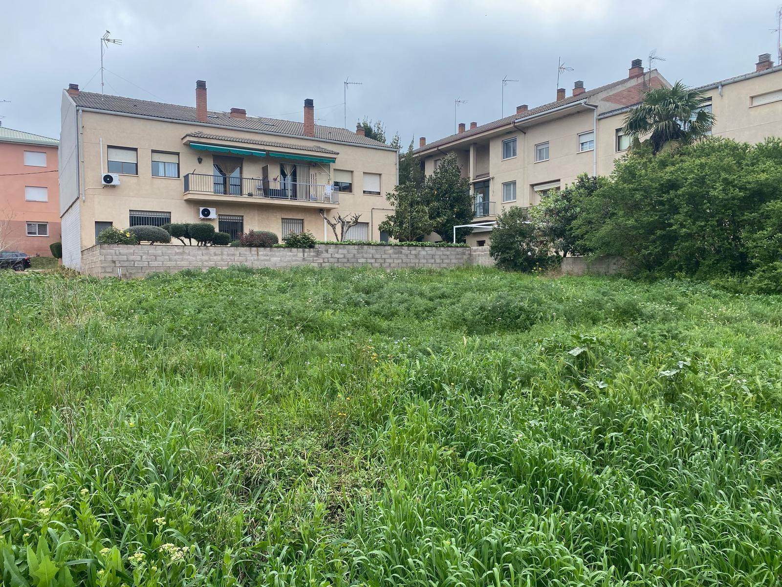 VENTA PARCELA PLANA EN CALLÚS! PERFECTA PARA CONSTRUIR TU CH - foto 2