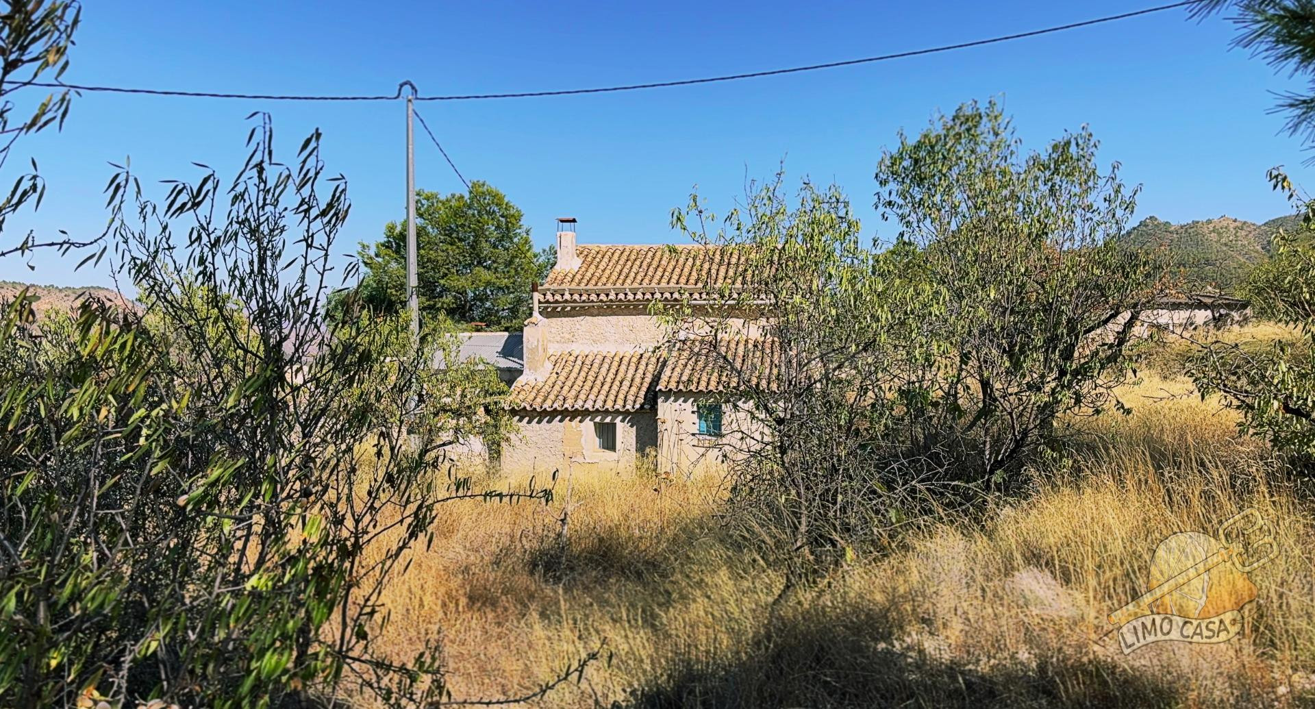 Auténtica casa para renovar en Ricote