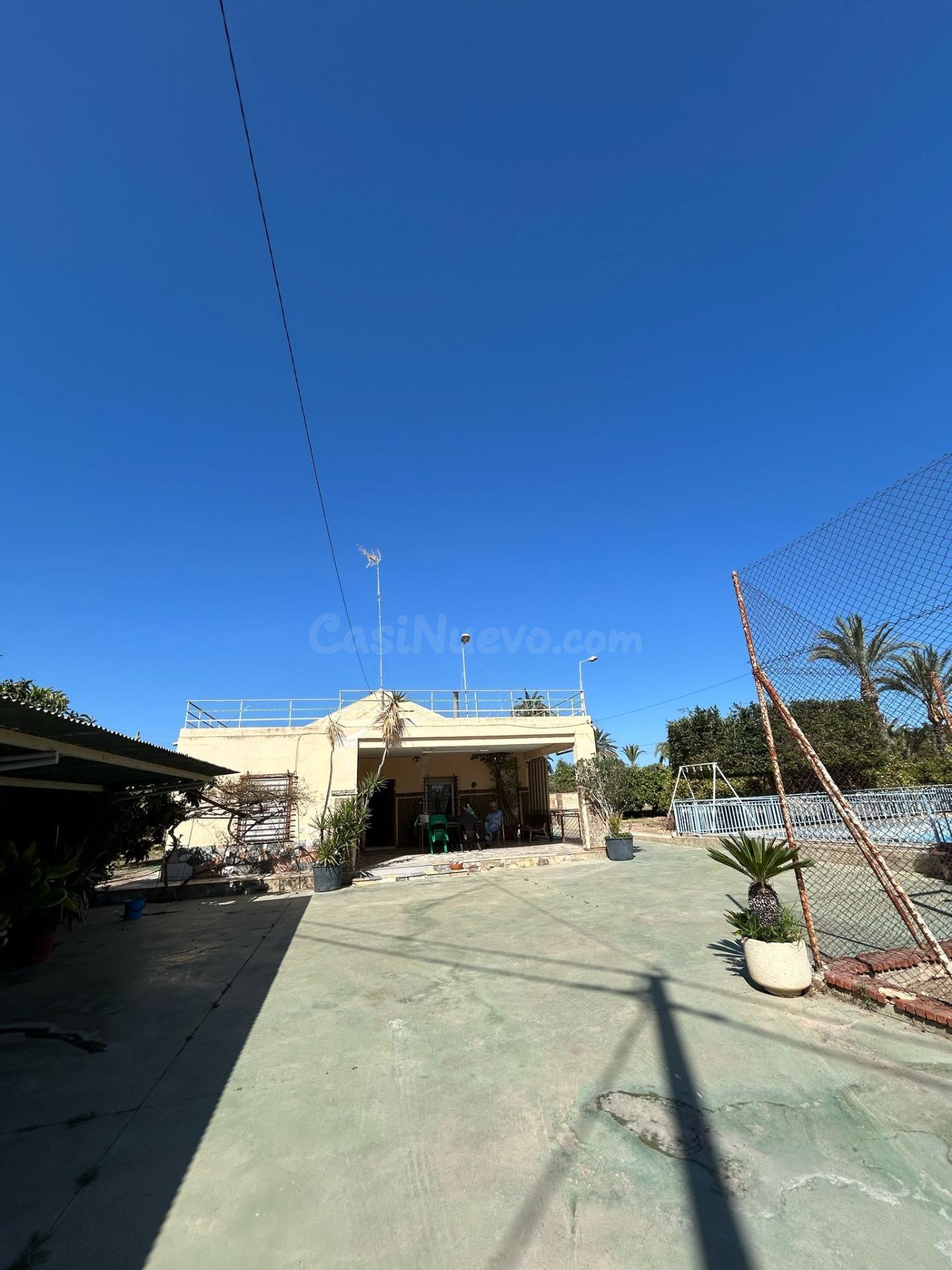 BUSCAS UN CAMPO A 2 MINUTOS DE ELCHE ? - foto 2