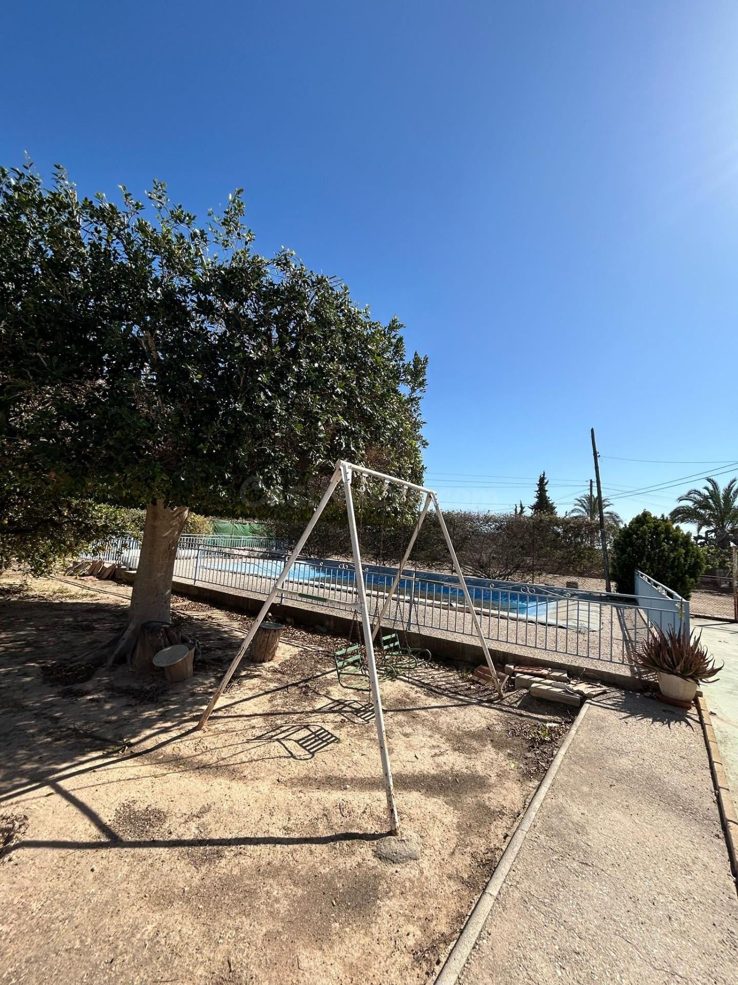 BUSCAS UN CAMPO A 2 MINUTOS DE ELCHE ? - foto 4