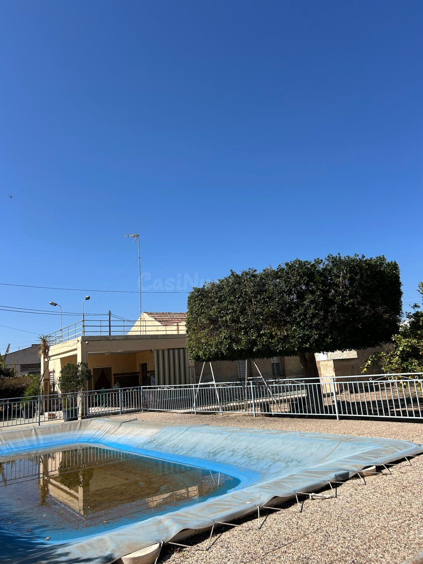 BUSCAS UN CAMPO A 2 MINUTOS DE ELCHE ? - foto 5