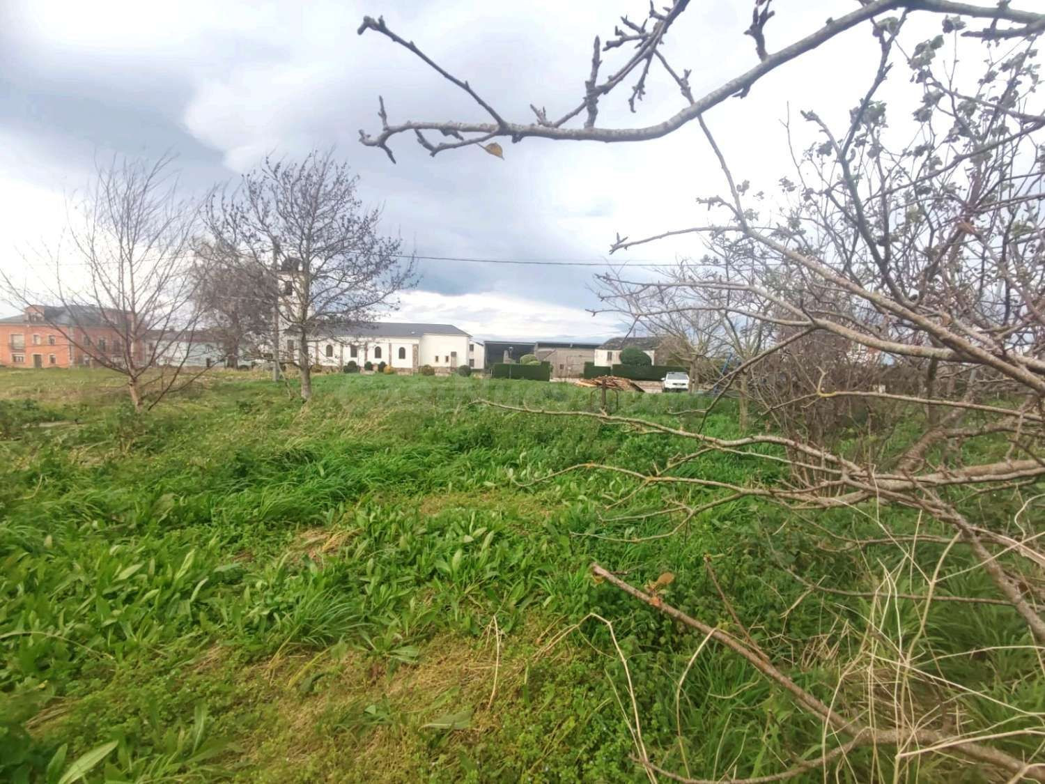 PARCELA EN TOL, CASTROPOL - foto 2