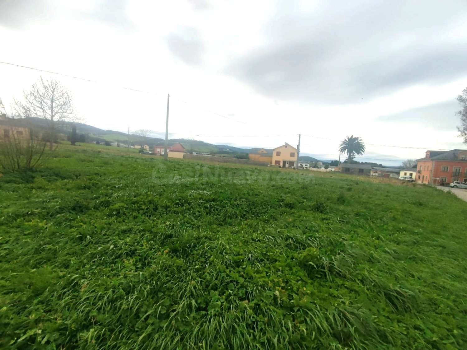PARCELA EN TOL, CASTROPOL - foto 3