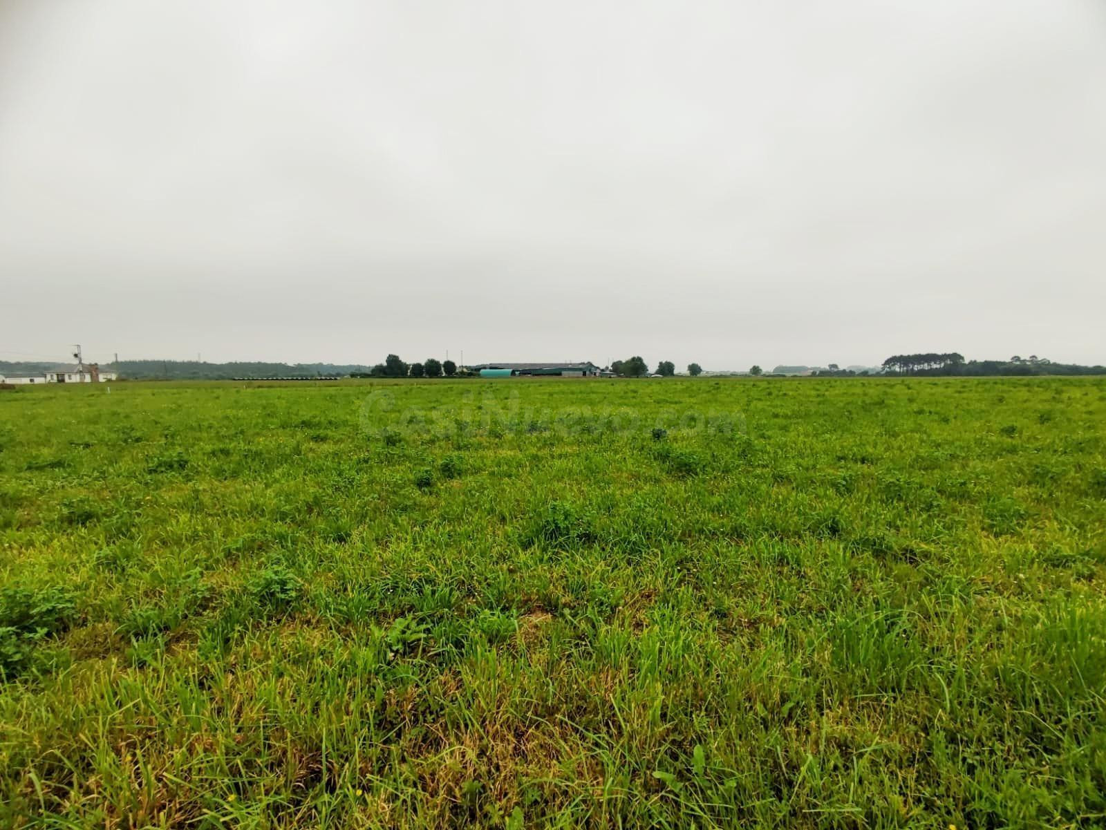 Parcela urbana edificable en Brul (Castropol) – 1.367 m2 – i - foto 3