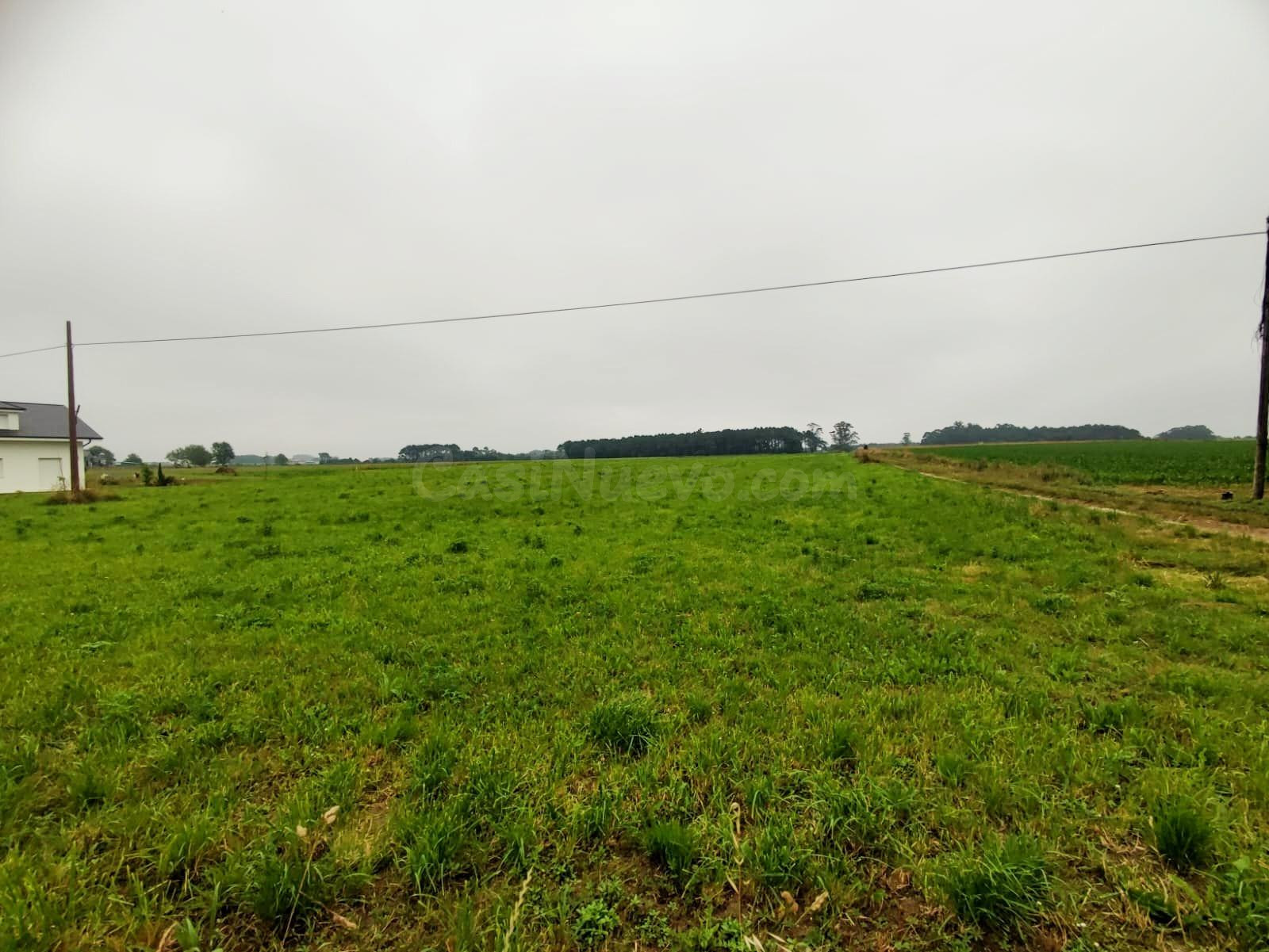Parcela urbana en esquina en Brul, Castropol – 1.367 m2 – ed - foto 2