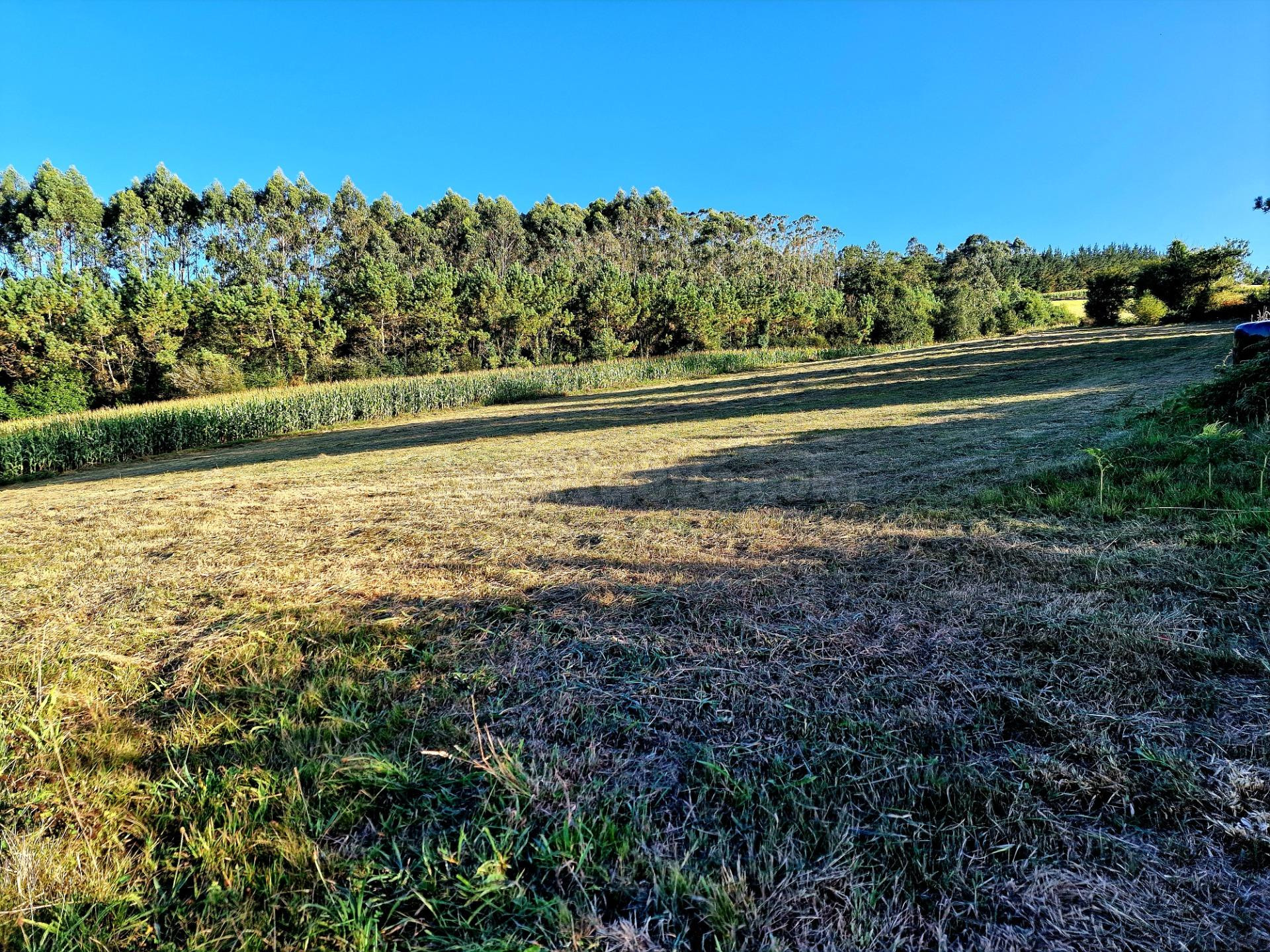 TERRENO URBANIZABLE EN EL CONCEJO DEL FRANCO - foto 3