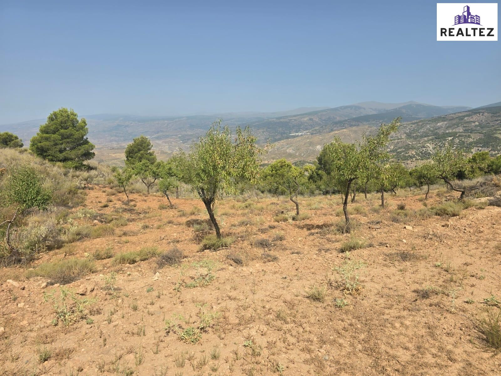 Terreno rústico en Alcolea – 10.839 m2 en plena Alpujarra Al