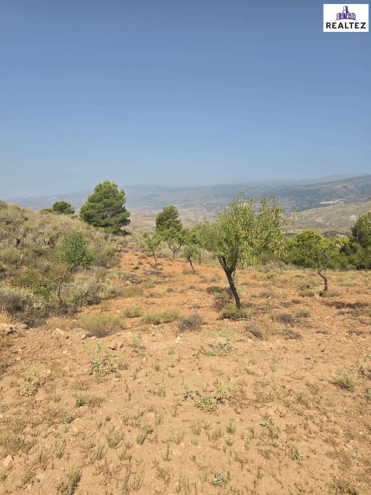 Terreno rústico en Alcolea – 10.839 m2 en plena Alpujarra Al - foto 5