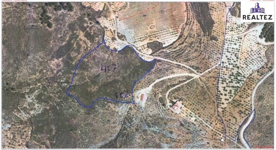 Terreno rústico en venta en Alcolea – 16.354m2 en plena Alpu