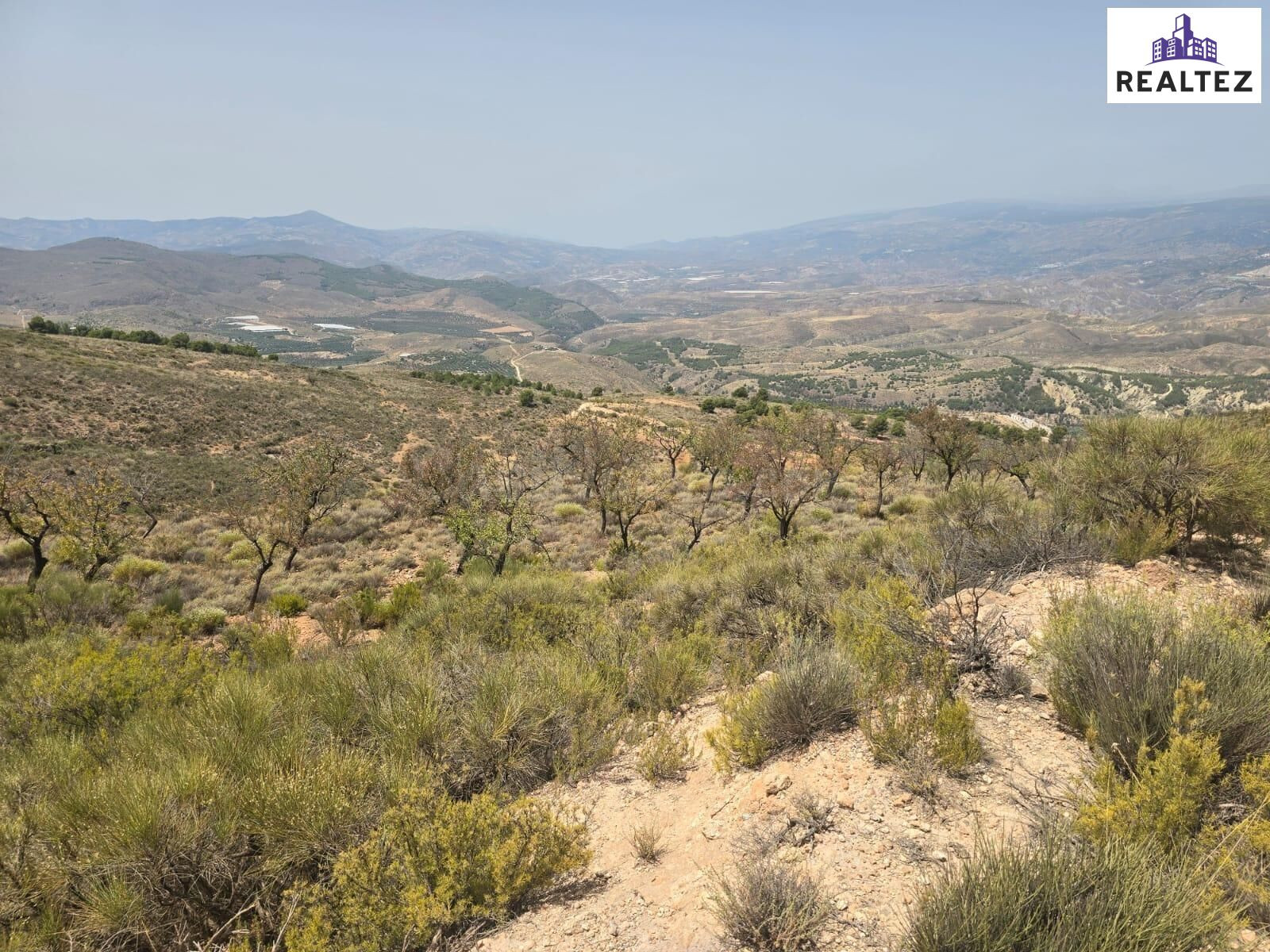 Terreno rústico en venta en Alcolea – 16.354m2 en plena Alpu - foto 2
