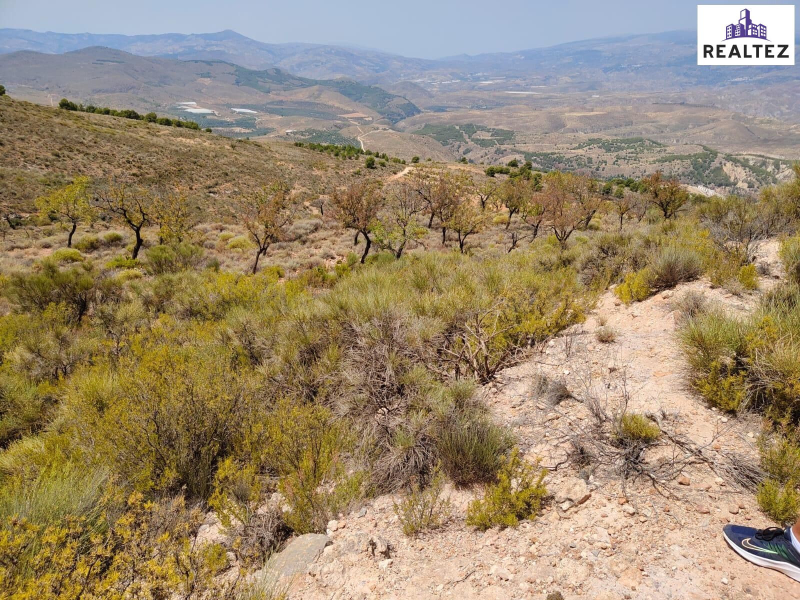 Terreno rústico en venta en Alcolea – 16.354m2 en plena Alpu - foto 3