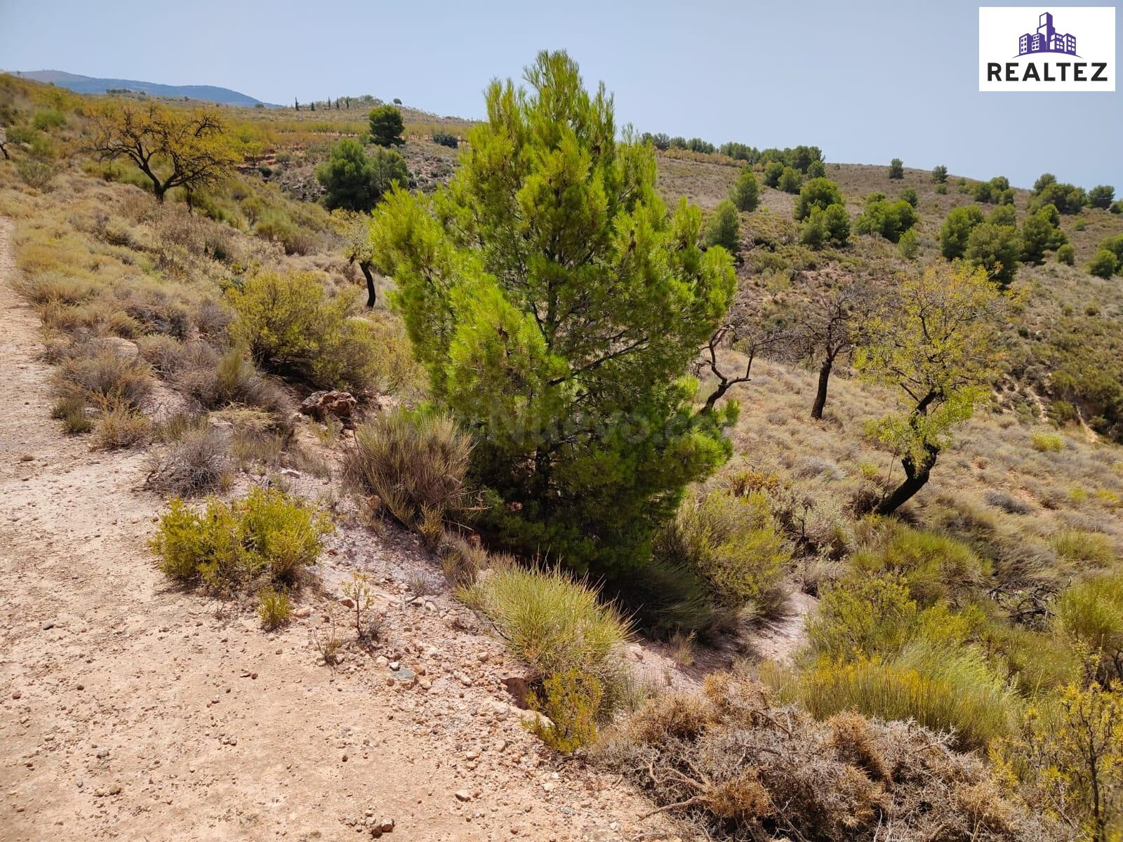Terreno rústico en venta en Alcolea – 51.654m2 en plena Alpu - foto 5