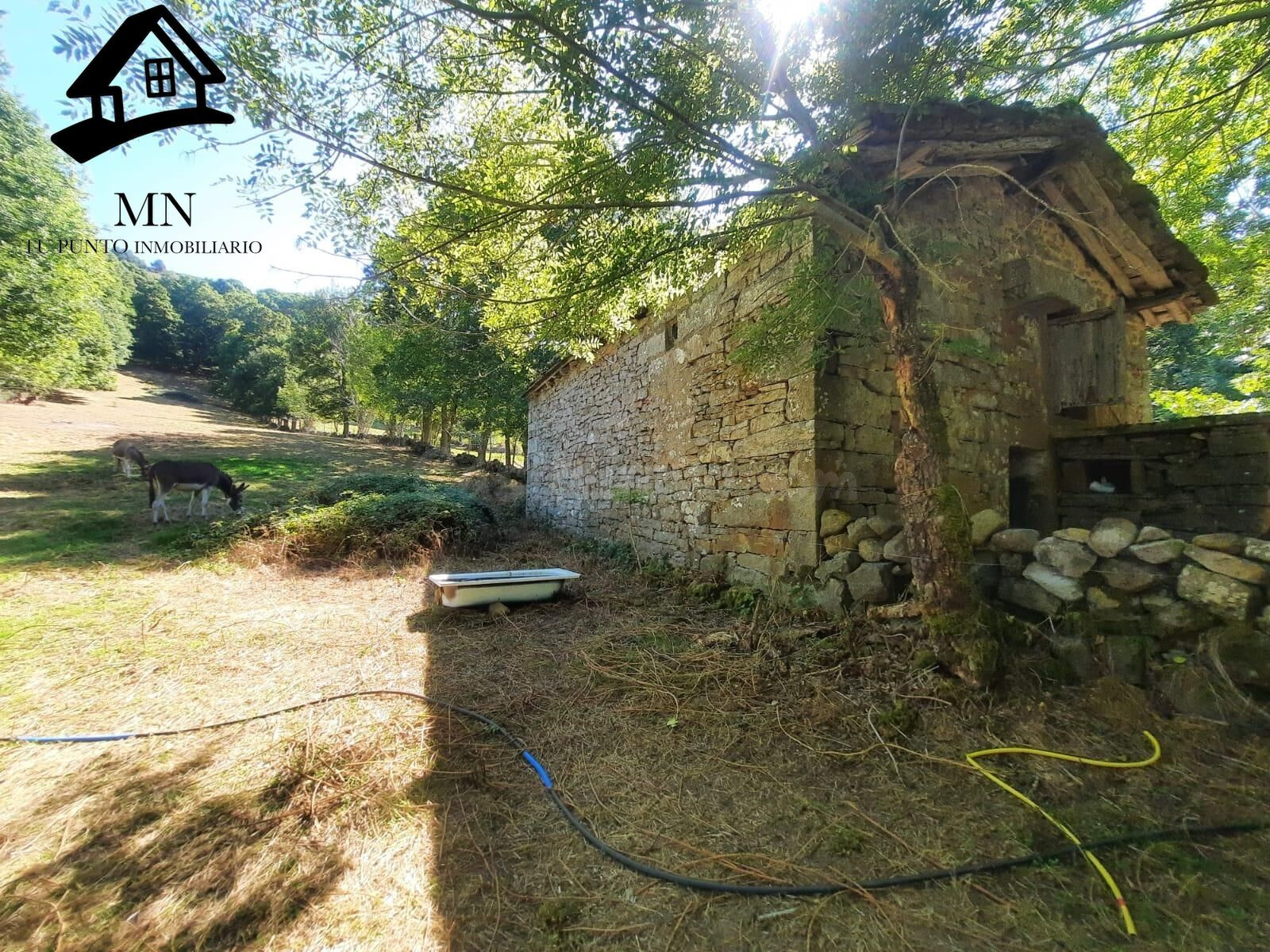 Cabaña de Piedra Independiente en Plena Naturaleza - foto 3