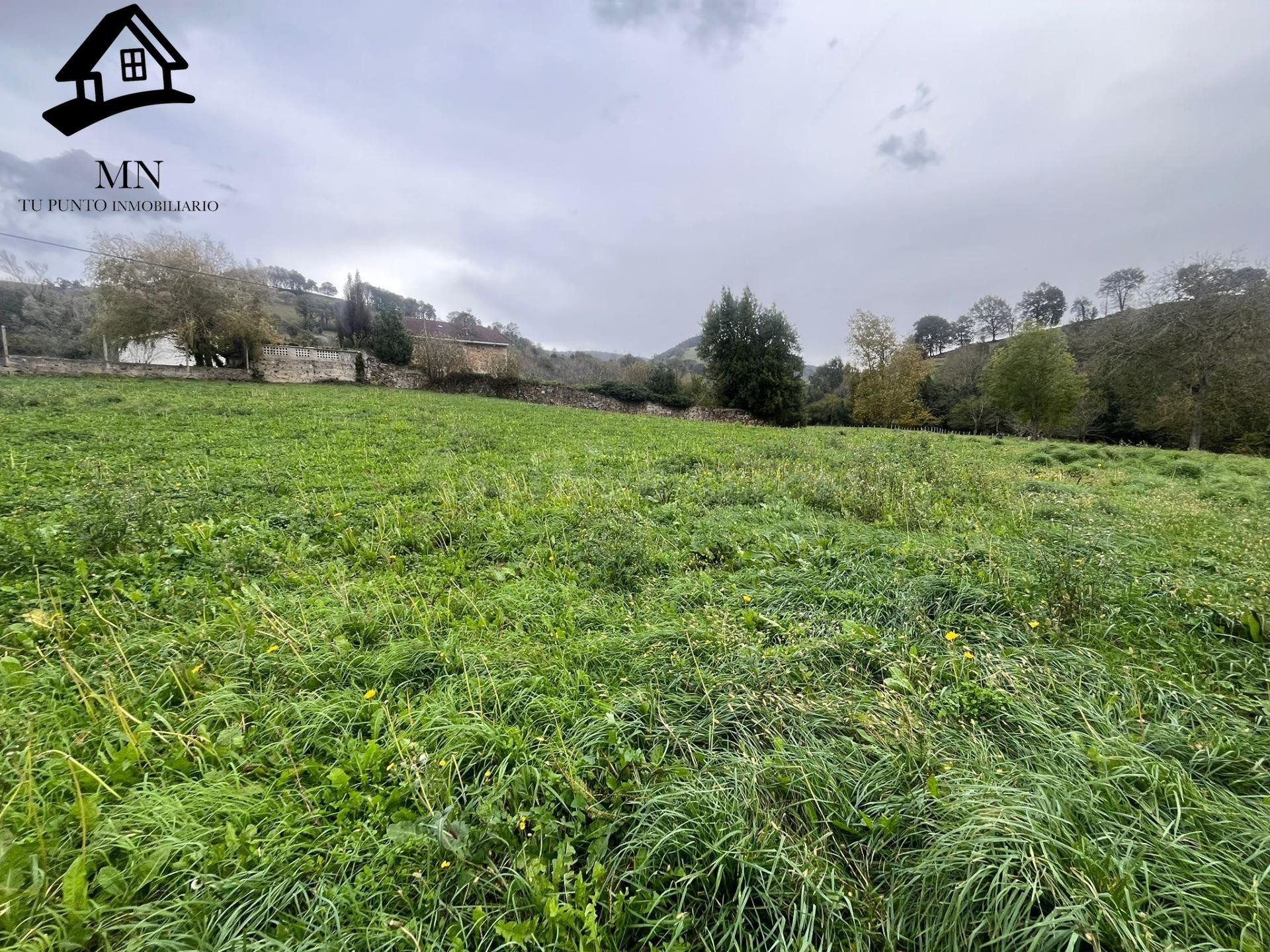Parcela Urbanizable en Villafufre - foto 4