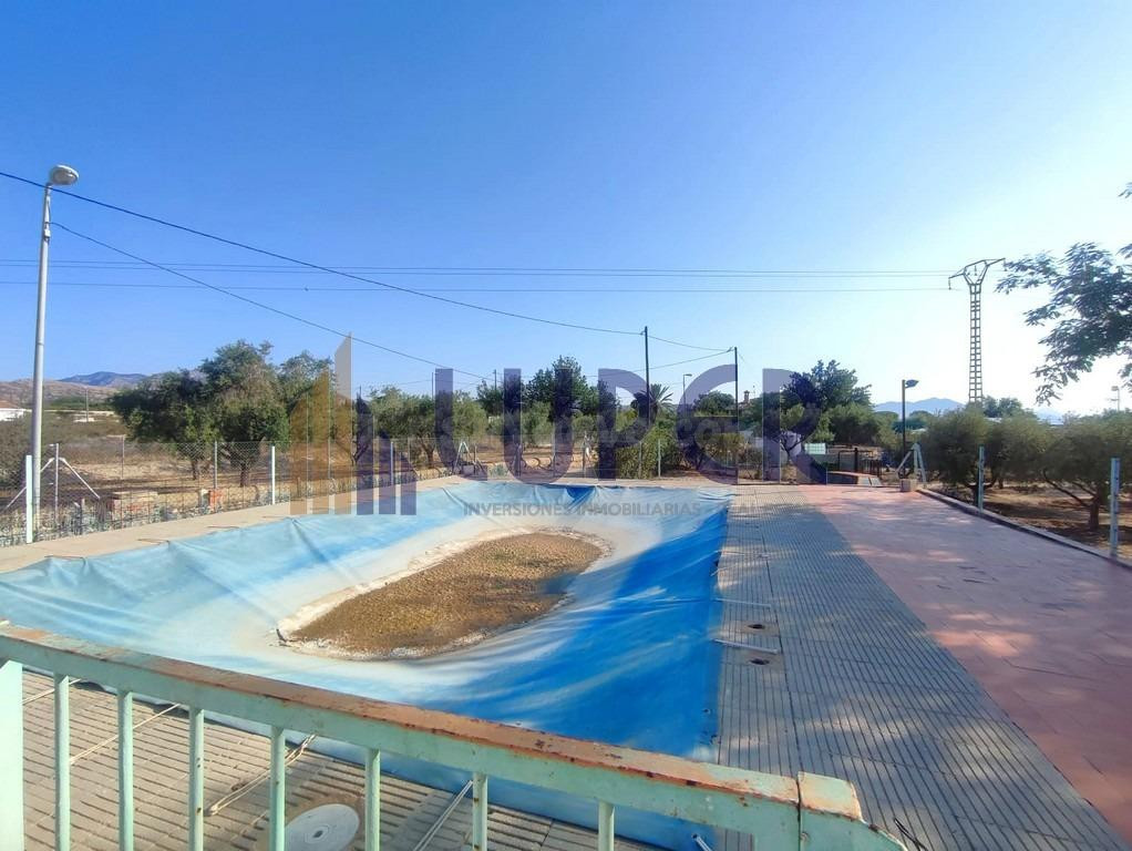 SE VENDE FINCA RÚSTICA A TAN SOLO 5 MINUTOS DE SAN VICENTE - foto 5