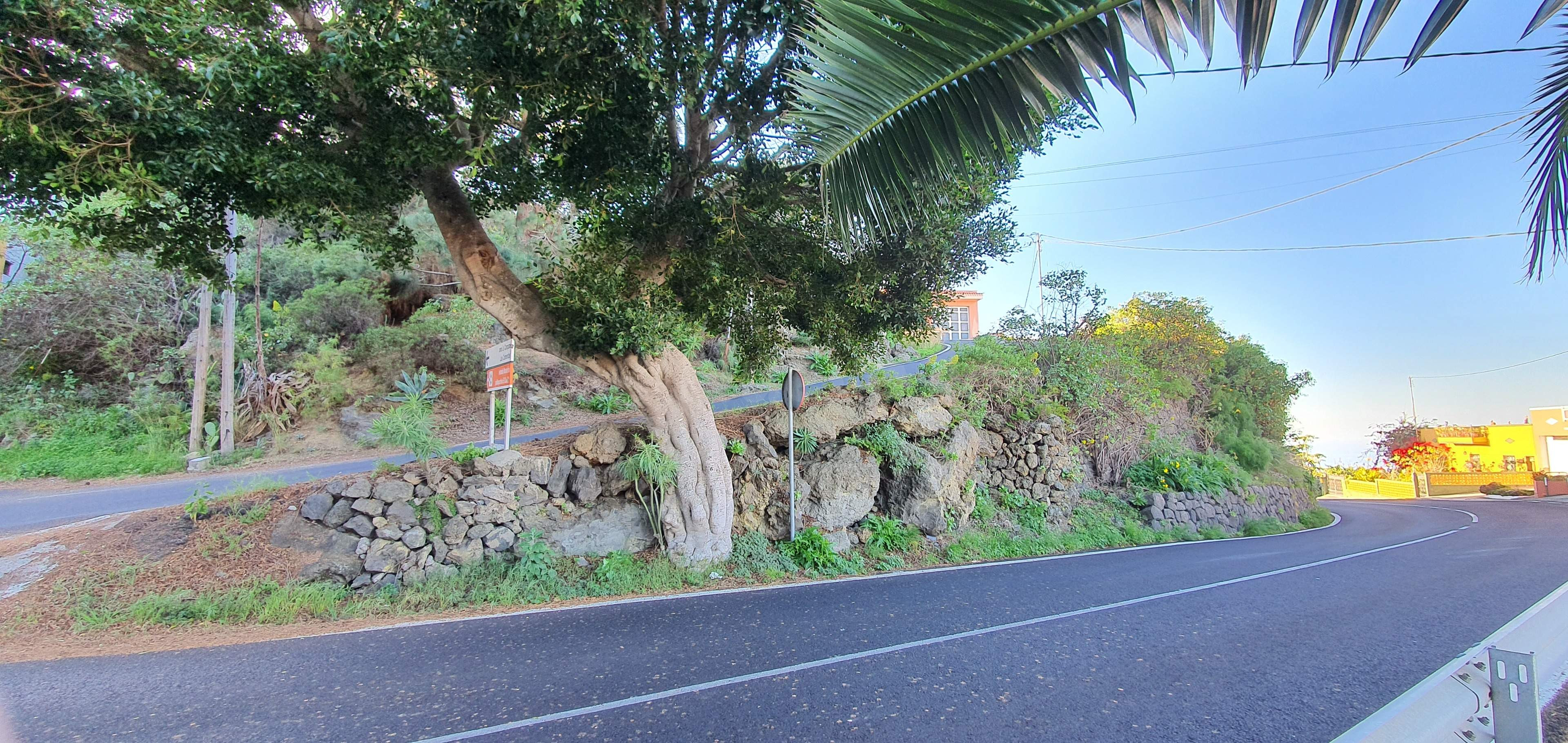 Terreno Urbano en La Guancha - foto 5