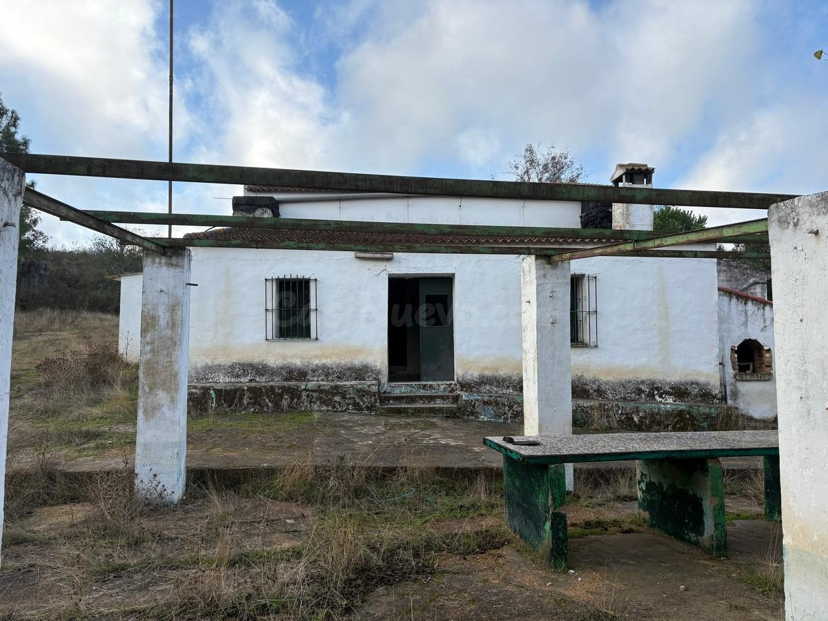 FINCA RÚSTICA DE REGADÍO, SECANO - foto 3