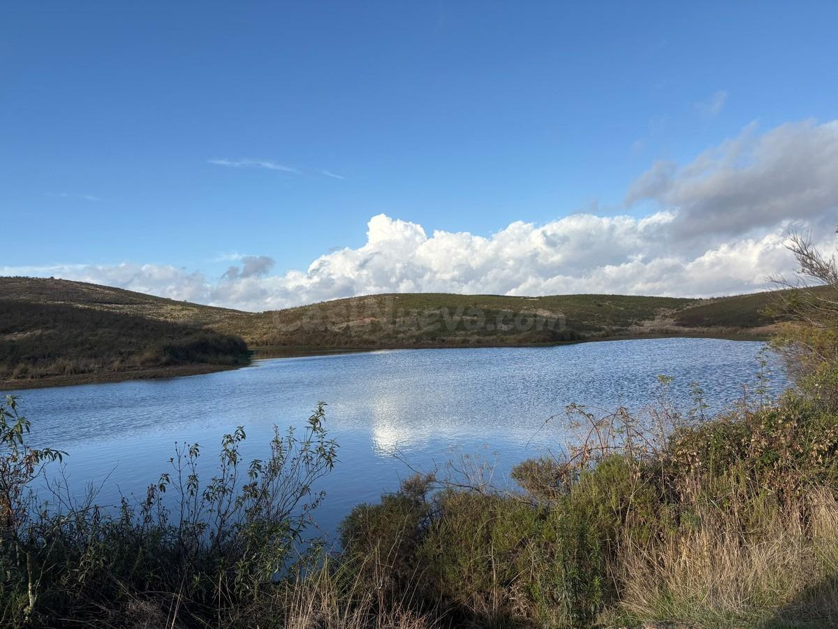 FINCA RÚSTICA DE REGADÍO, SECANO - foto 4