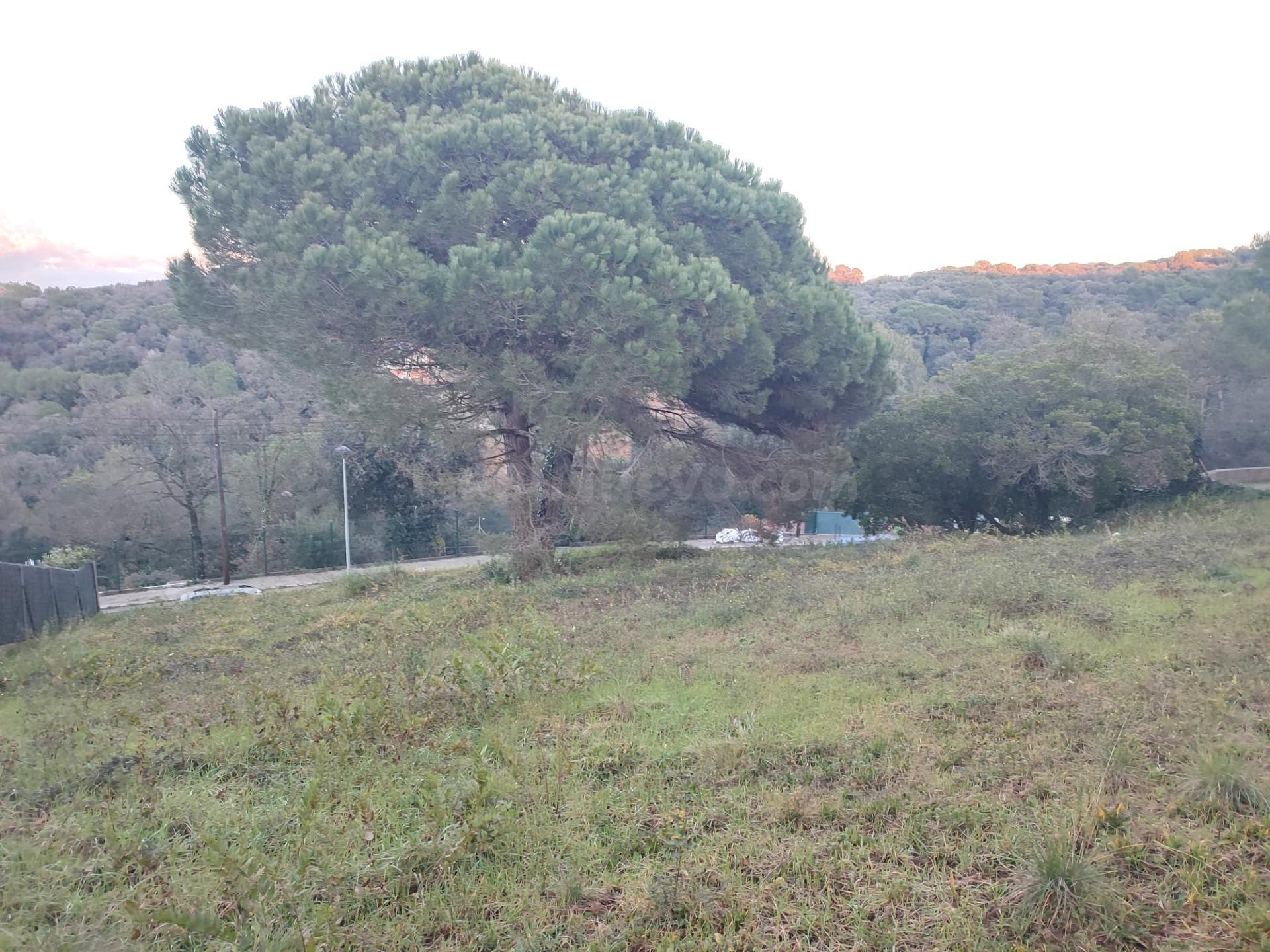 Parcel·la urbana de 903 m2 amb vistes panoràmiques a Llinars del Vallès (zona límit amb La Roca del Vallès)