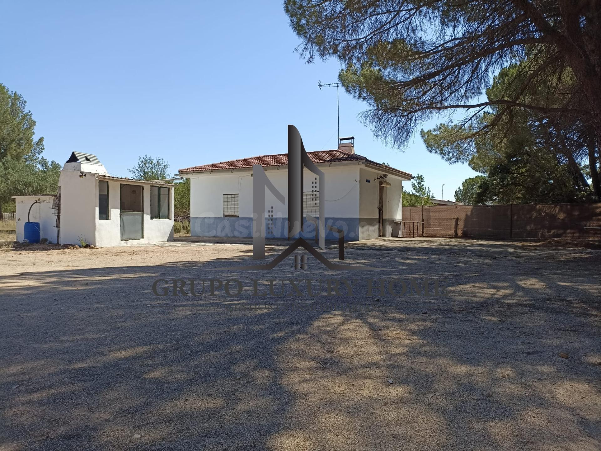 SE VENDE PARCELA CON PINAR EN MONTALVOS - foto 3