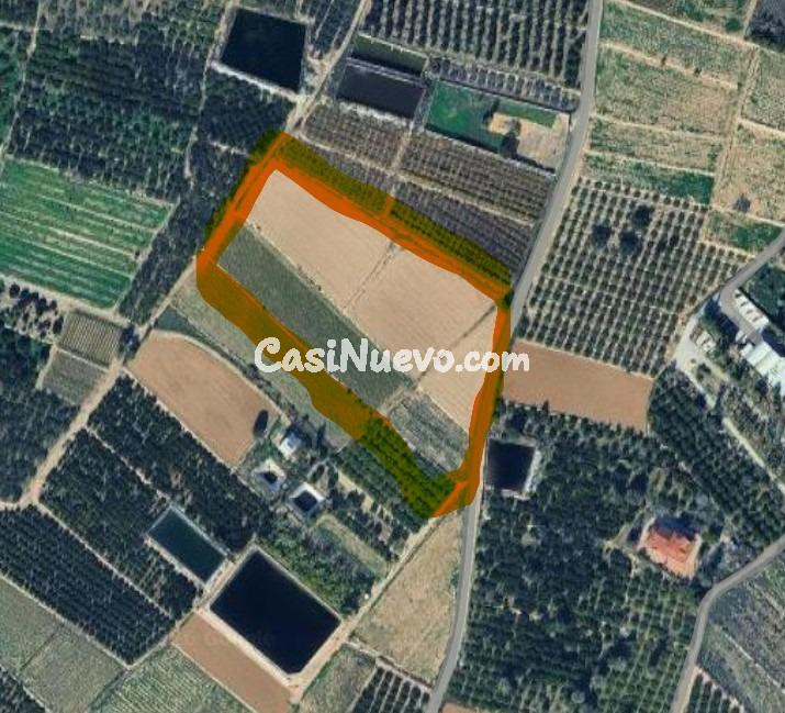 Gran parcela rústica con posibilidad de construir vivienda unifamiliar con piscina en el campo de Guardamar del Segura, Alicante