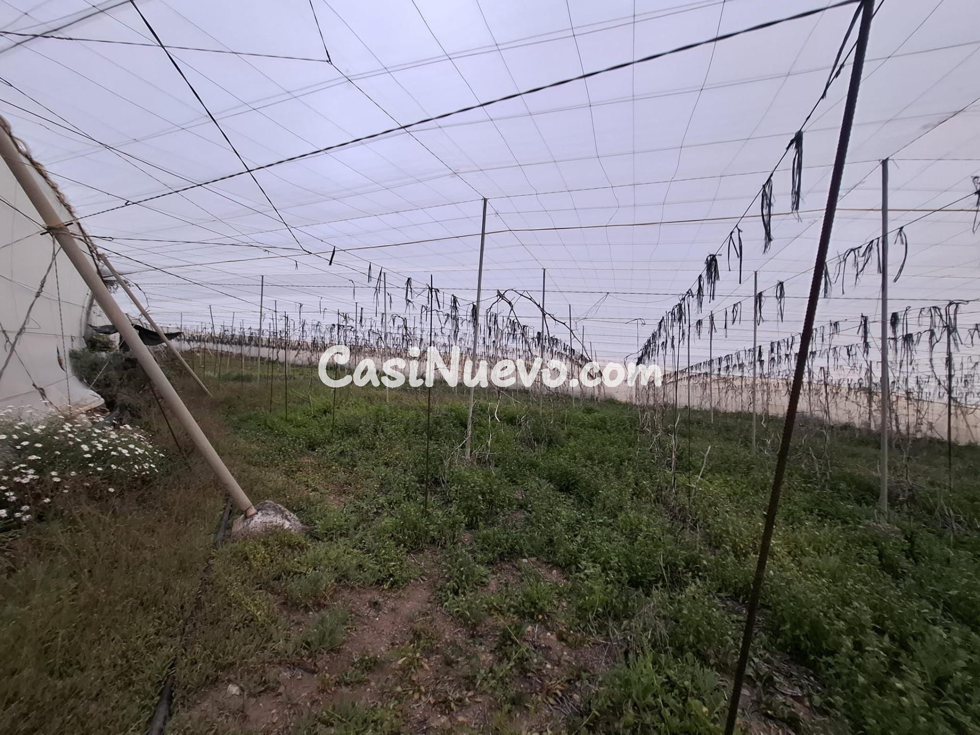 Venta de Terreno rústico agrario con invernadero de  5.747 m2– Acojeja - Guía de Isora.