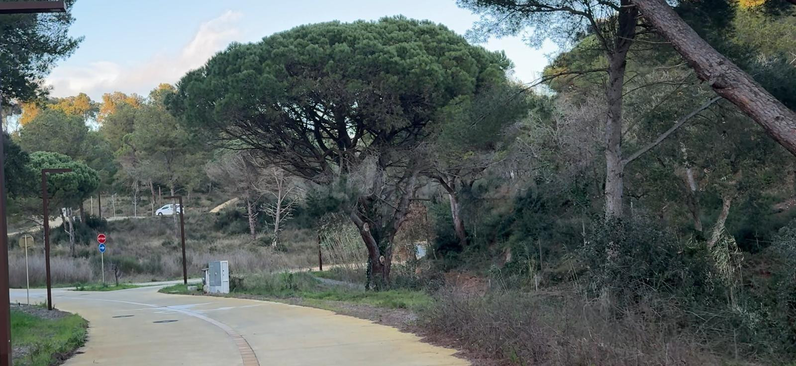 Venta de parcelas edificables en Urbanización de Palamos - foto 4