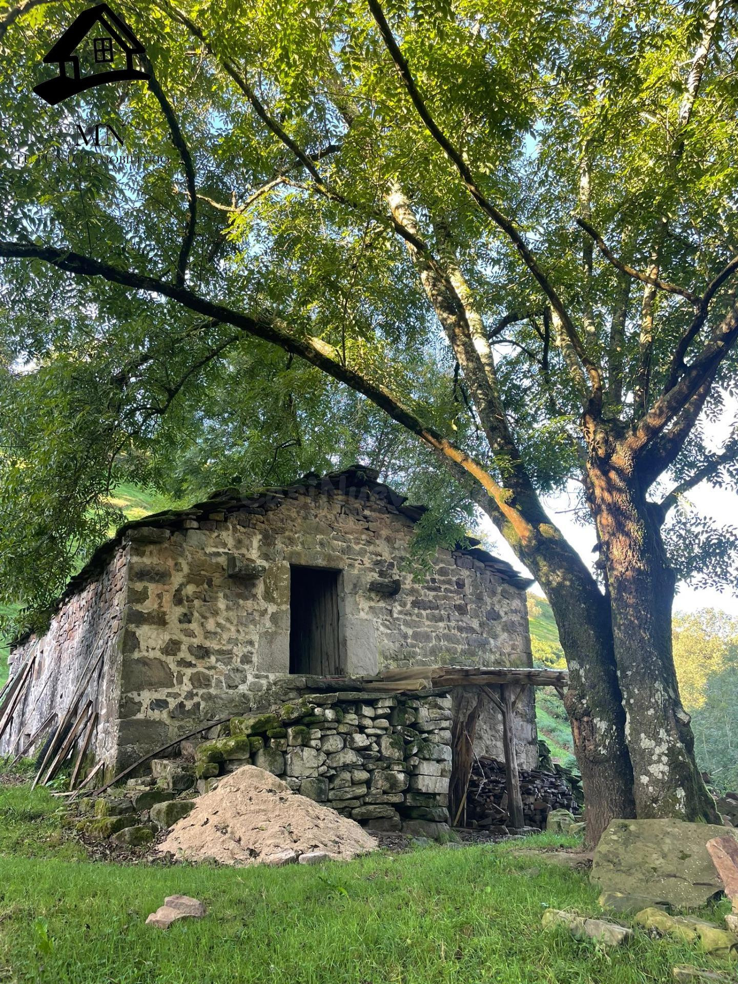 CABAÑA PARA REFORMAR EN EL CORAZÓN DE SELAYA - foto 2