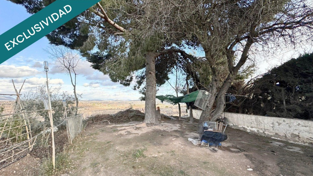 Casa cueva con terreno en Casas Ibáñez (Pinoso)