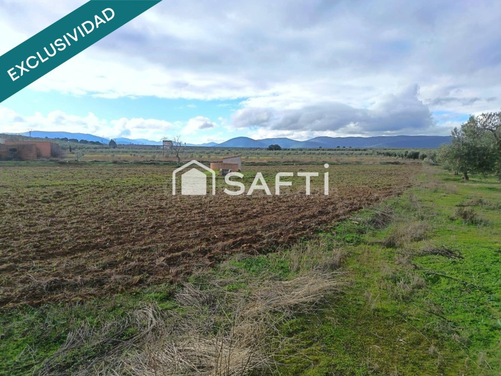 ! OPORTUNIDAD EXCELENTE FINCA GANADERA EN LOS NAVALMORALES ¡