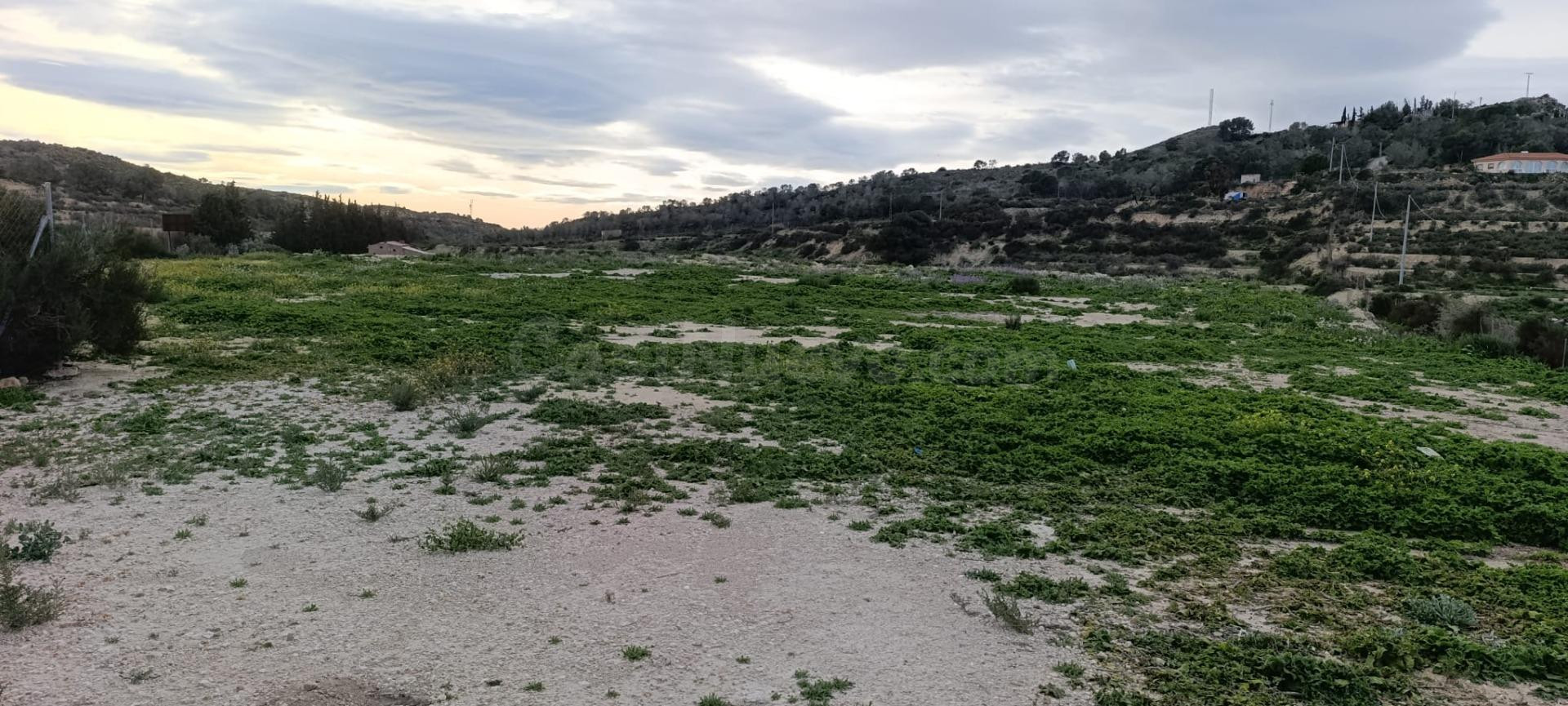 Amplio Terreno Rústico en Aspe - Pedanías Oeste a la Venta